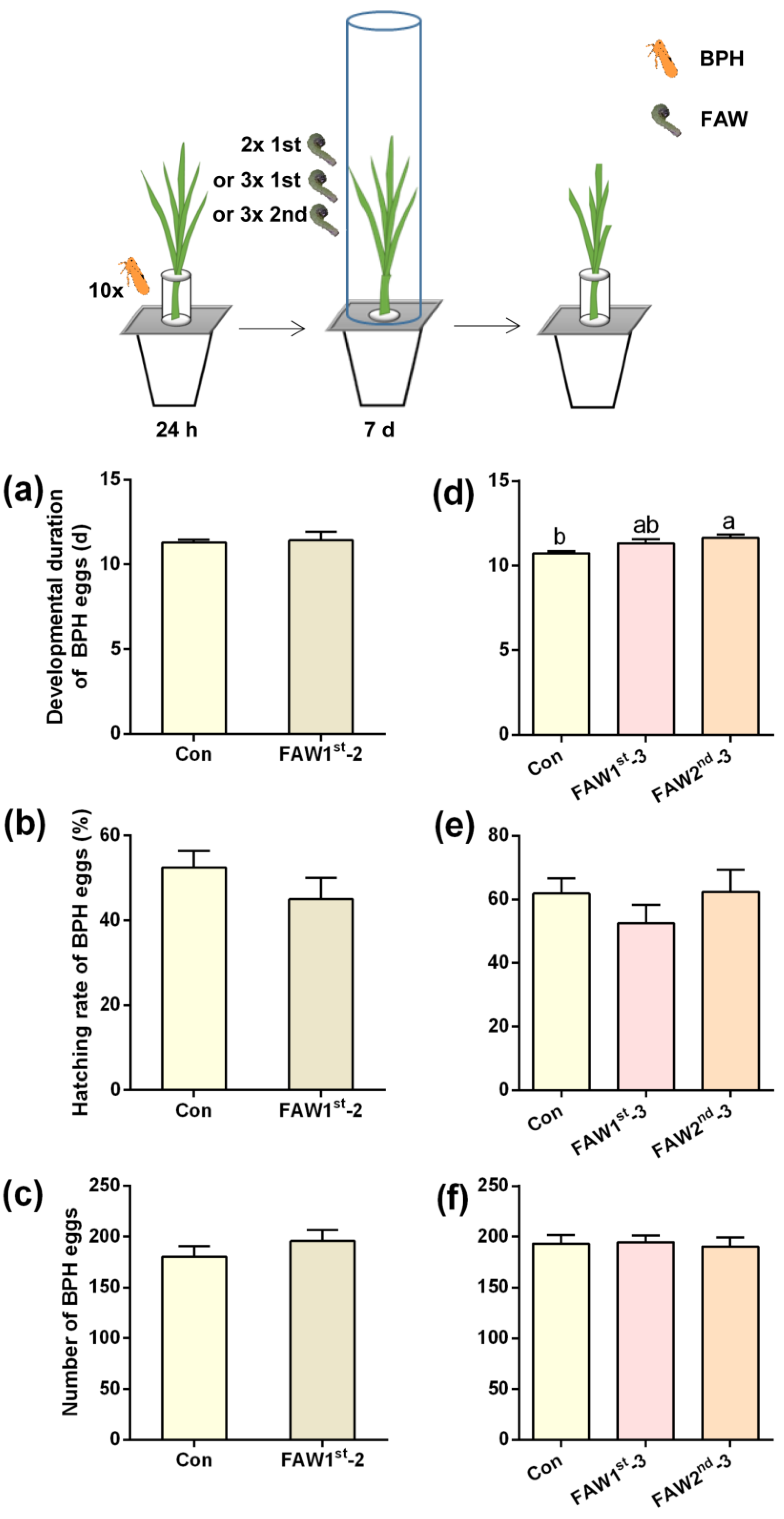 Ijms 24 08754 g001 Ijms 24 08754 g001