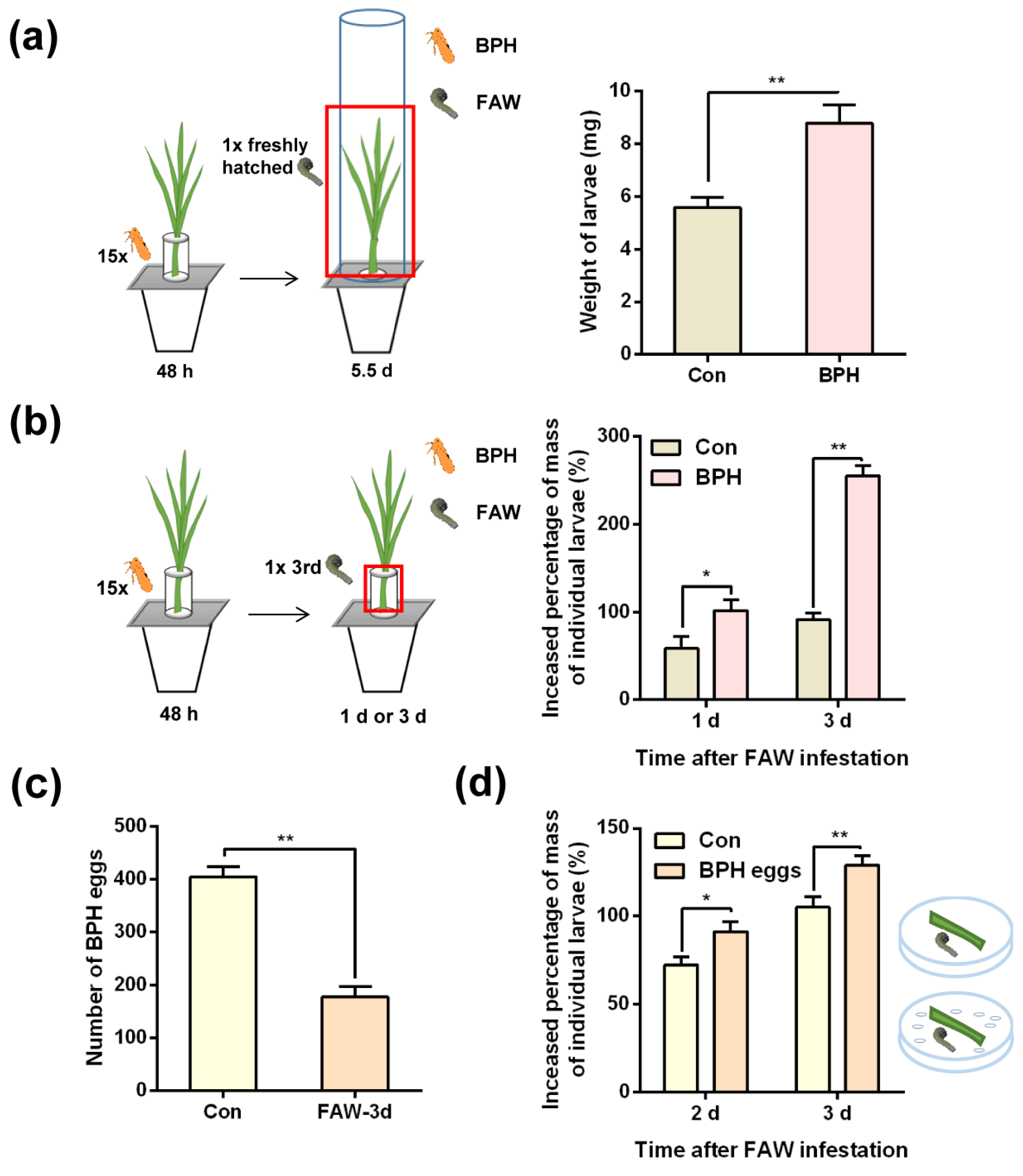 Ijms 24 08754 g002 Ijms 24 08754 g002