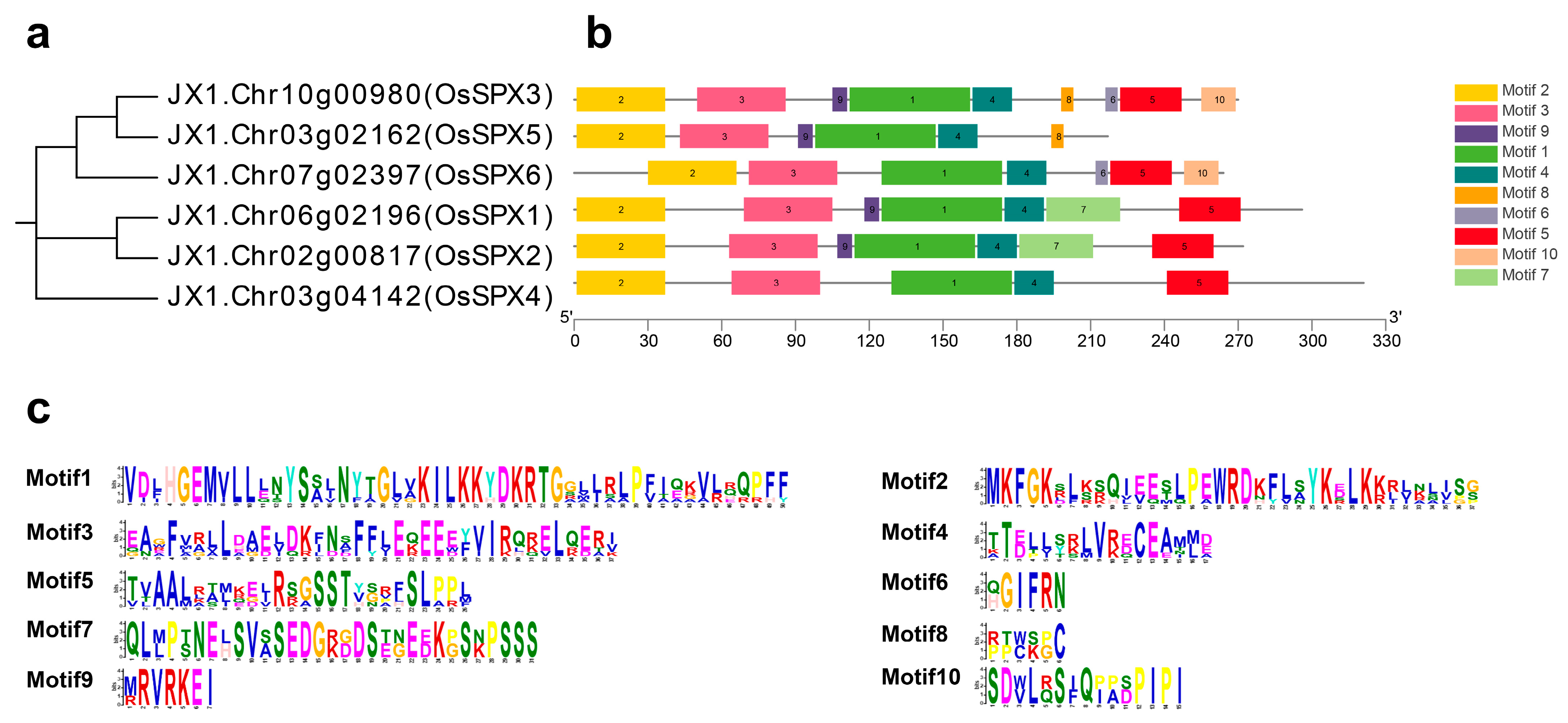 Ijms 24 08755 g001 Ijms 24 08755 g001