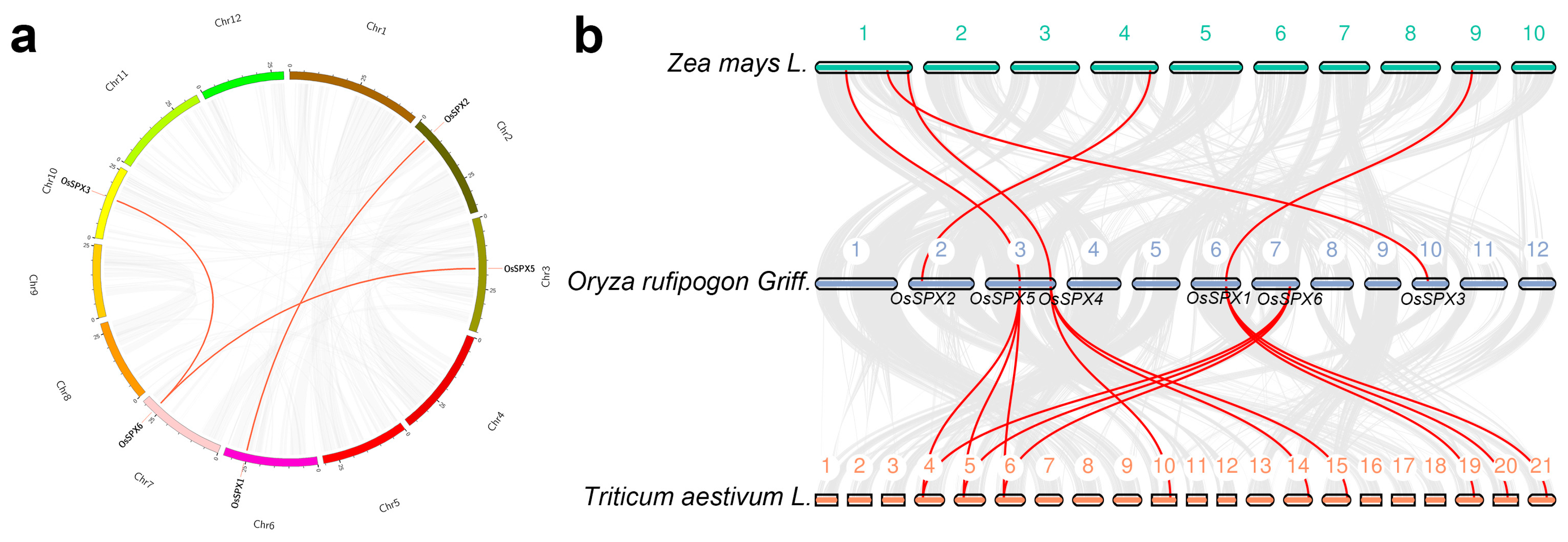 Ijms 24 08755 g002 Ijms 24 08755 g002