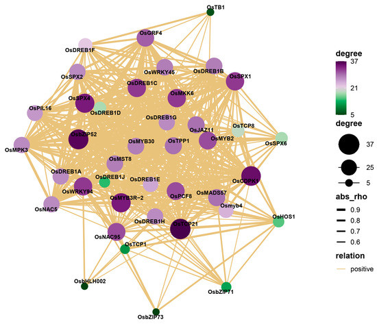 Genome-Wide Identification and Analysis of OsSPXs Revealed Its