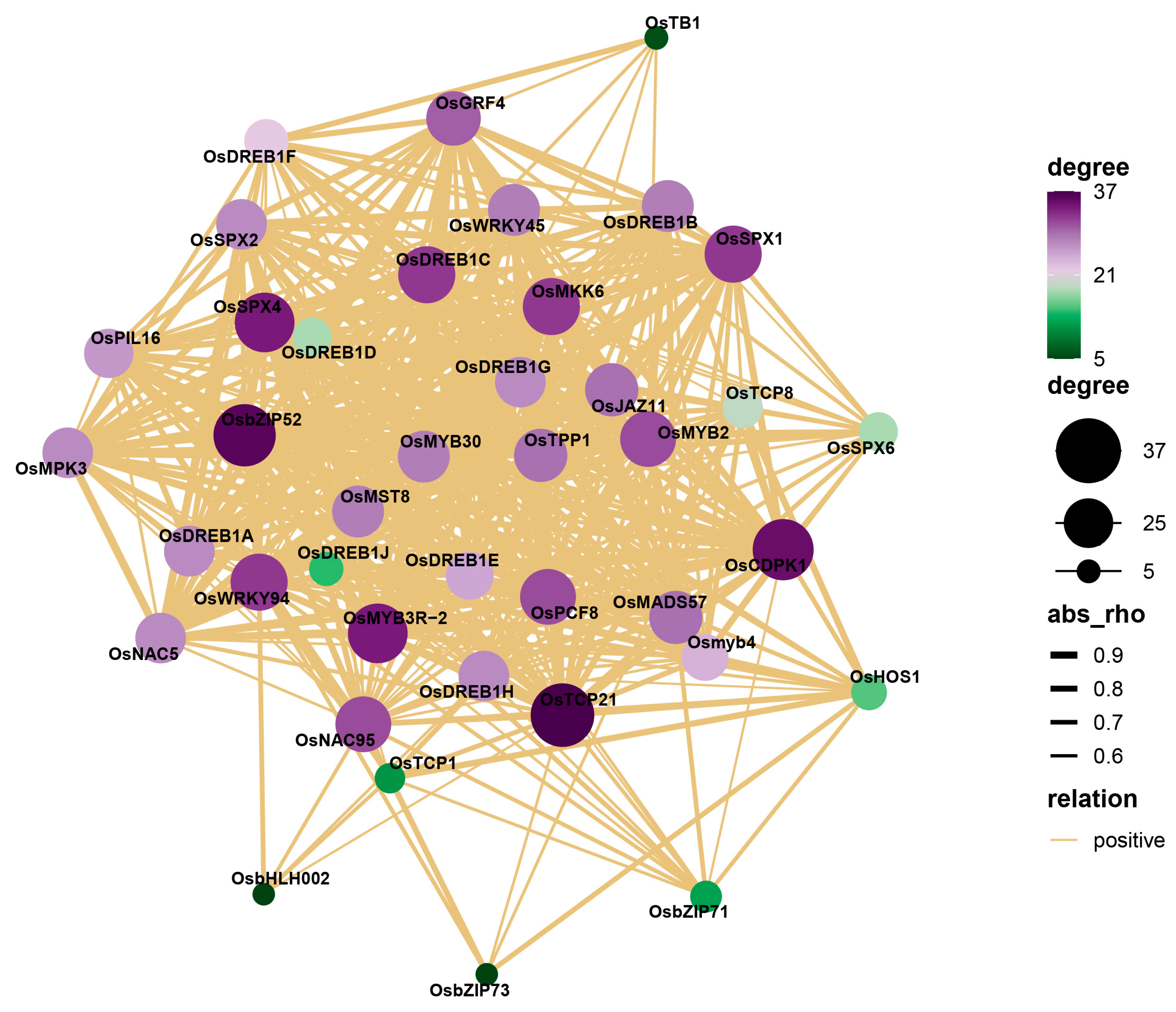 Ijms 24 08755 g005 Ijms 24 08755 g005