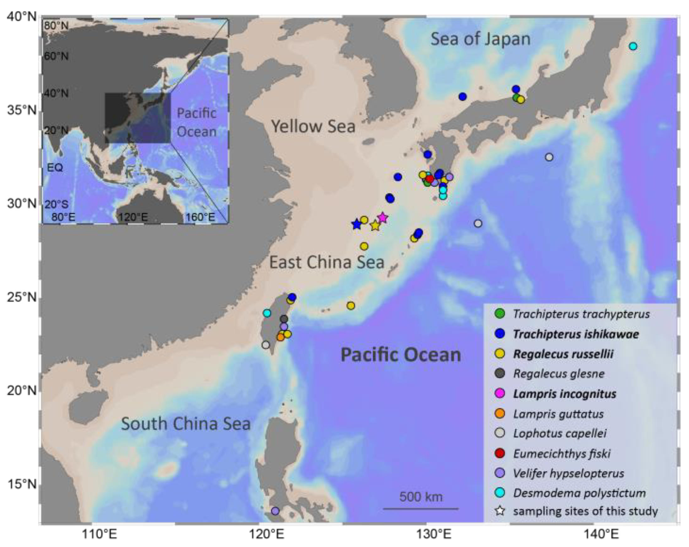 Ijms 24 08756 g001 Ijms 24 08756 g001