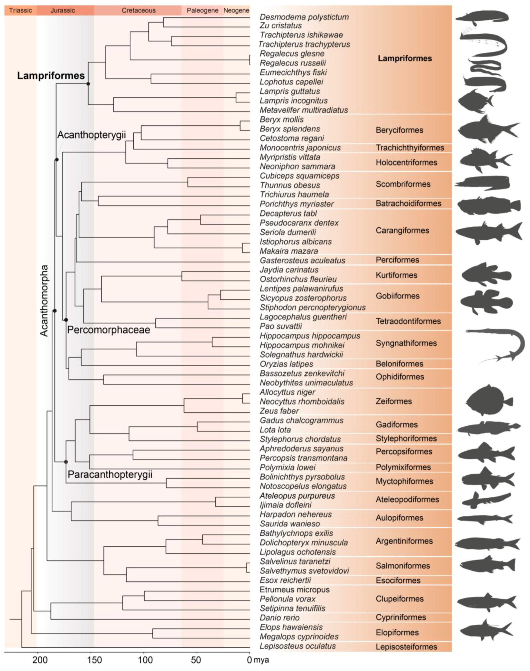 Ijms 24 08756 g003 Ijms 24 08756 g003