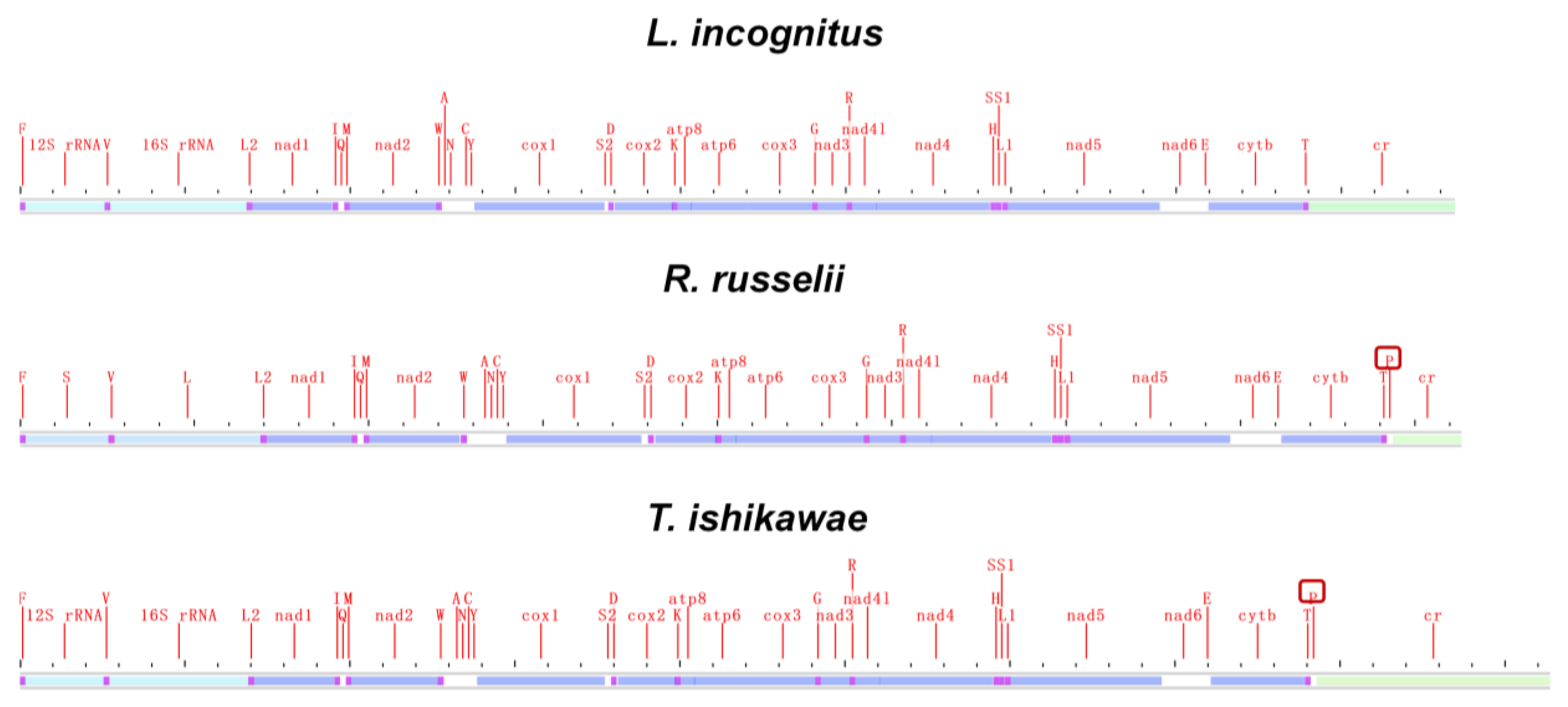 Ijms 24 08756 g004 Ijms 24 08756 g004