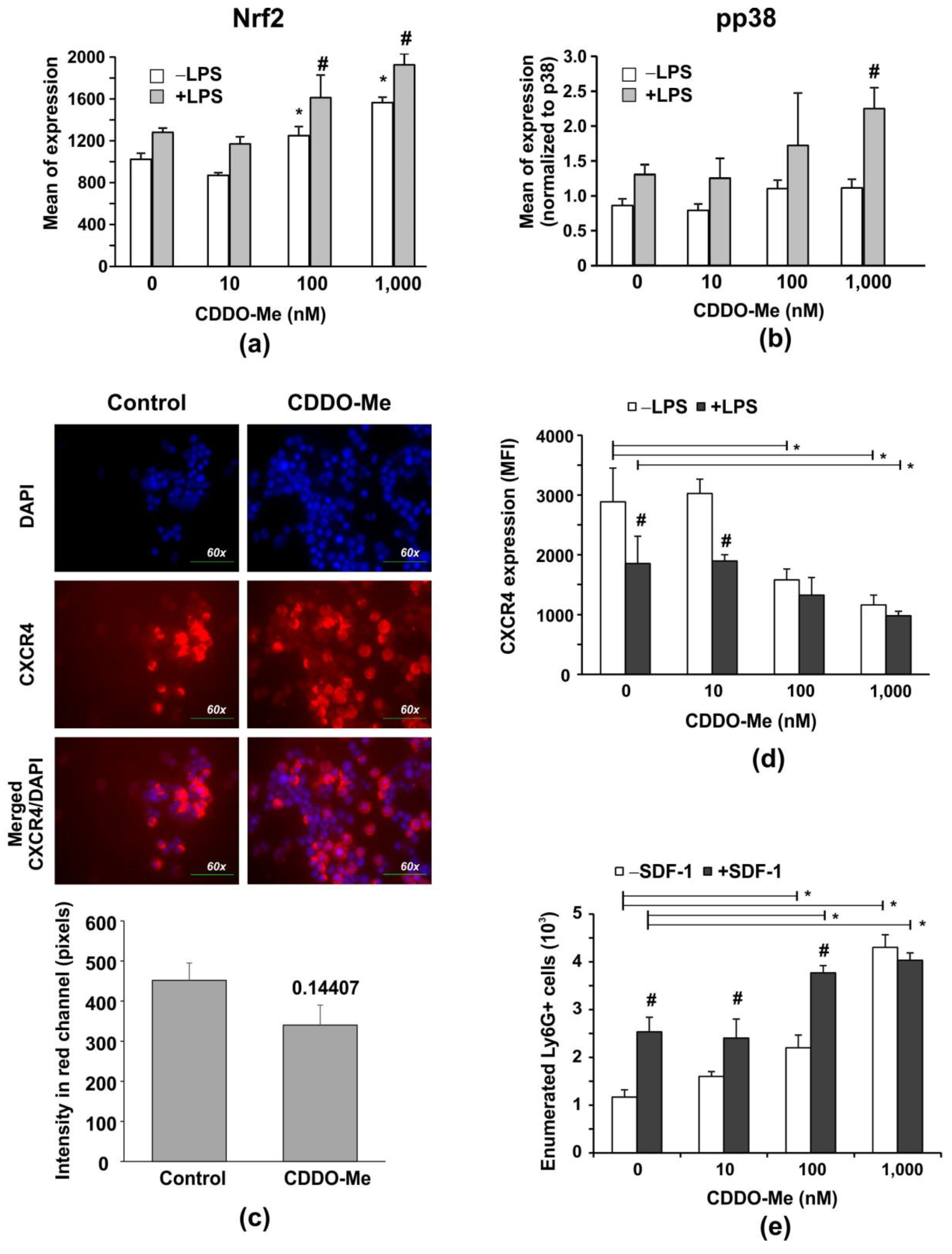 Ijms 24 08775 g002 Ijms 24 08775 g002