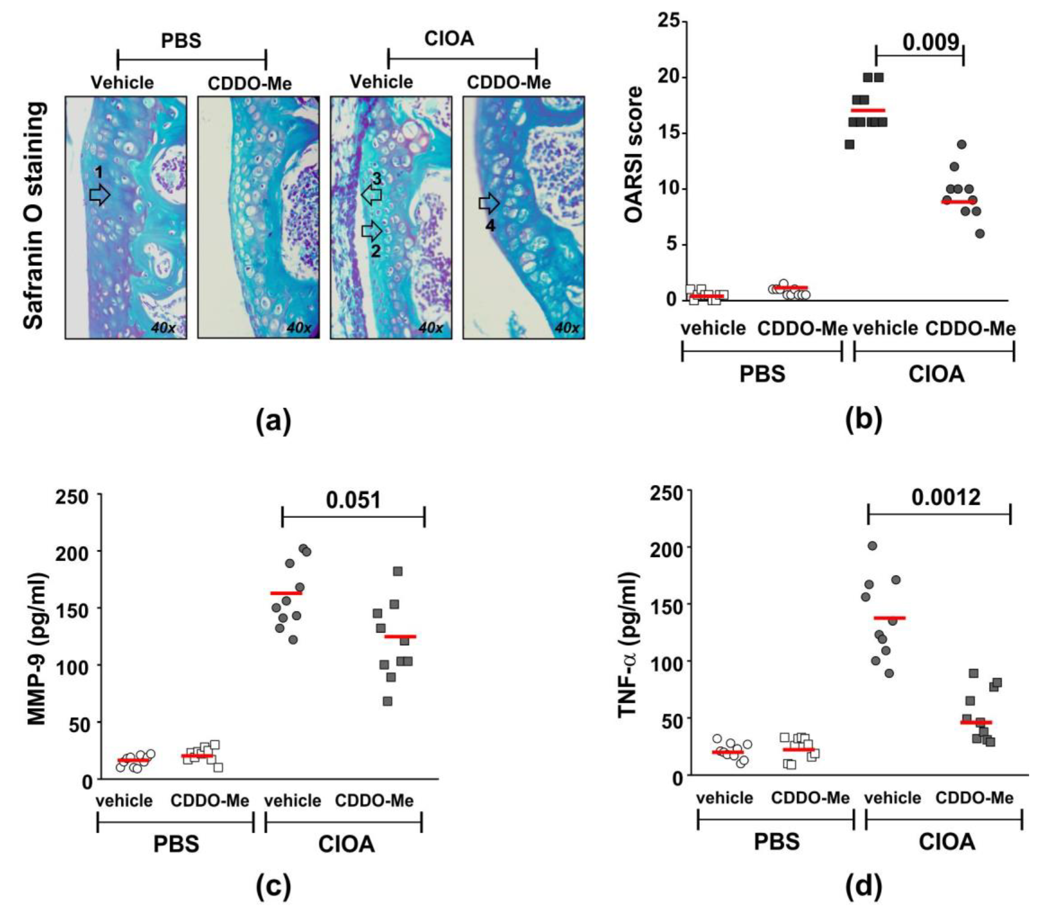 Ijms 24 08775 g004 Ijms 24 08775 g004