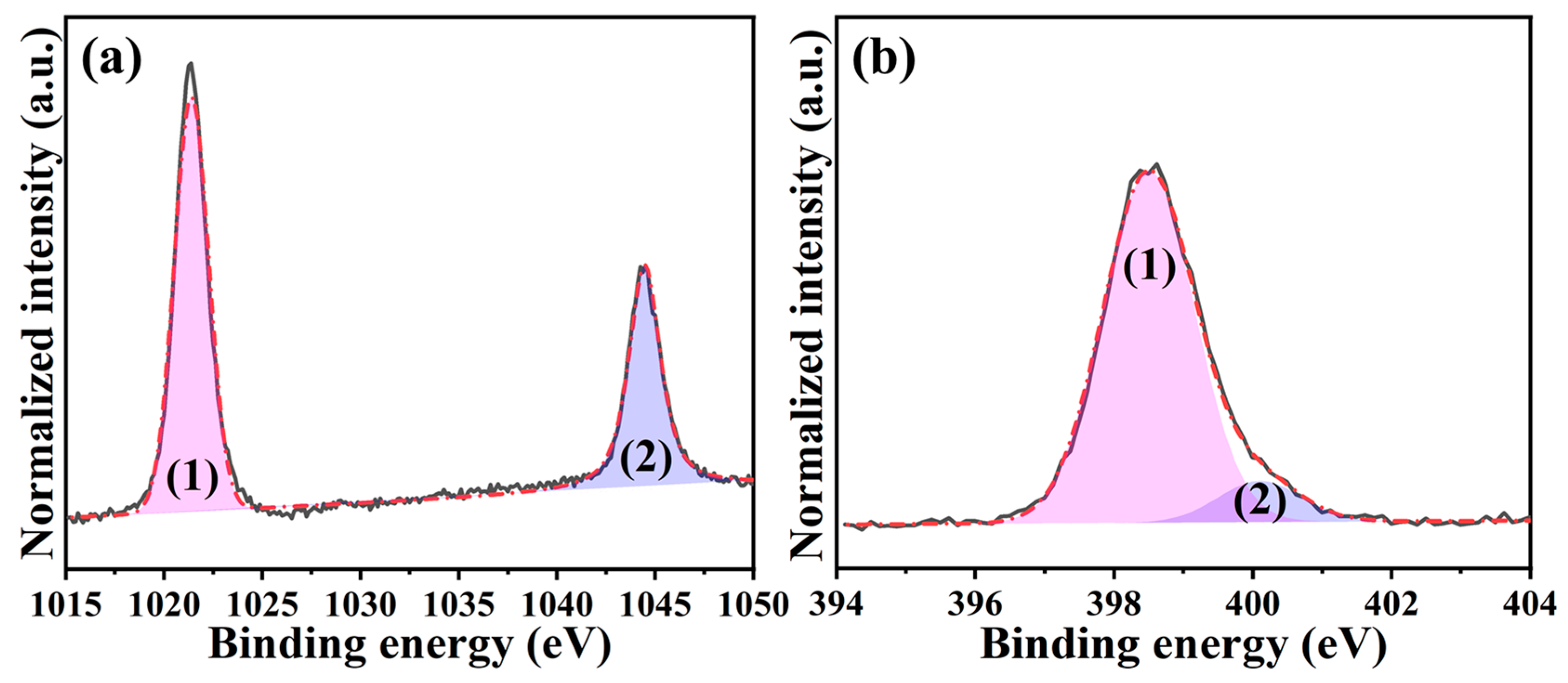 Ijms 24 08777 g002 550