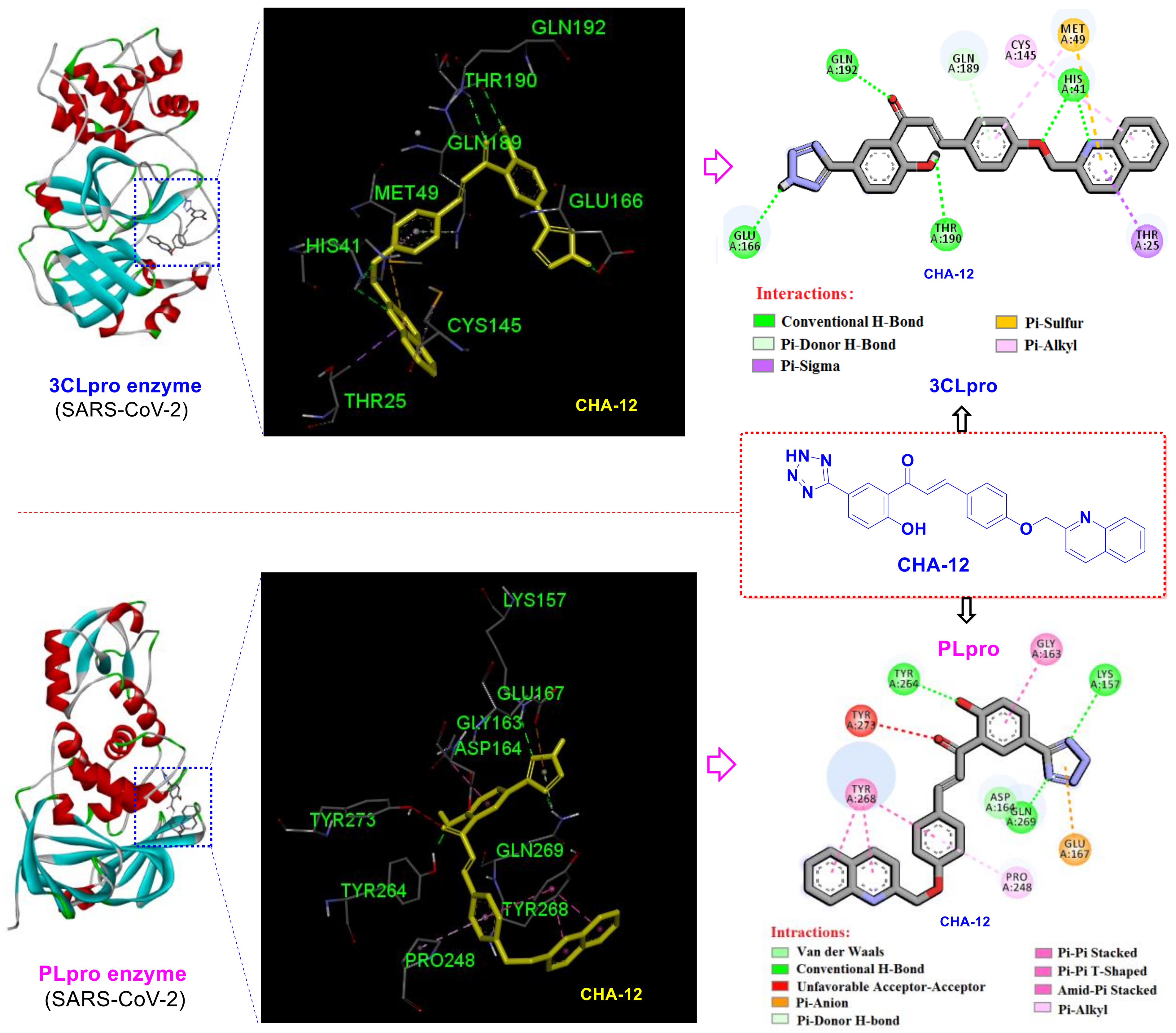 Ijms 24 08789 g006 Ijms 24 08789 g006