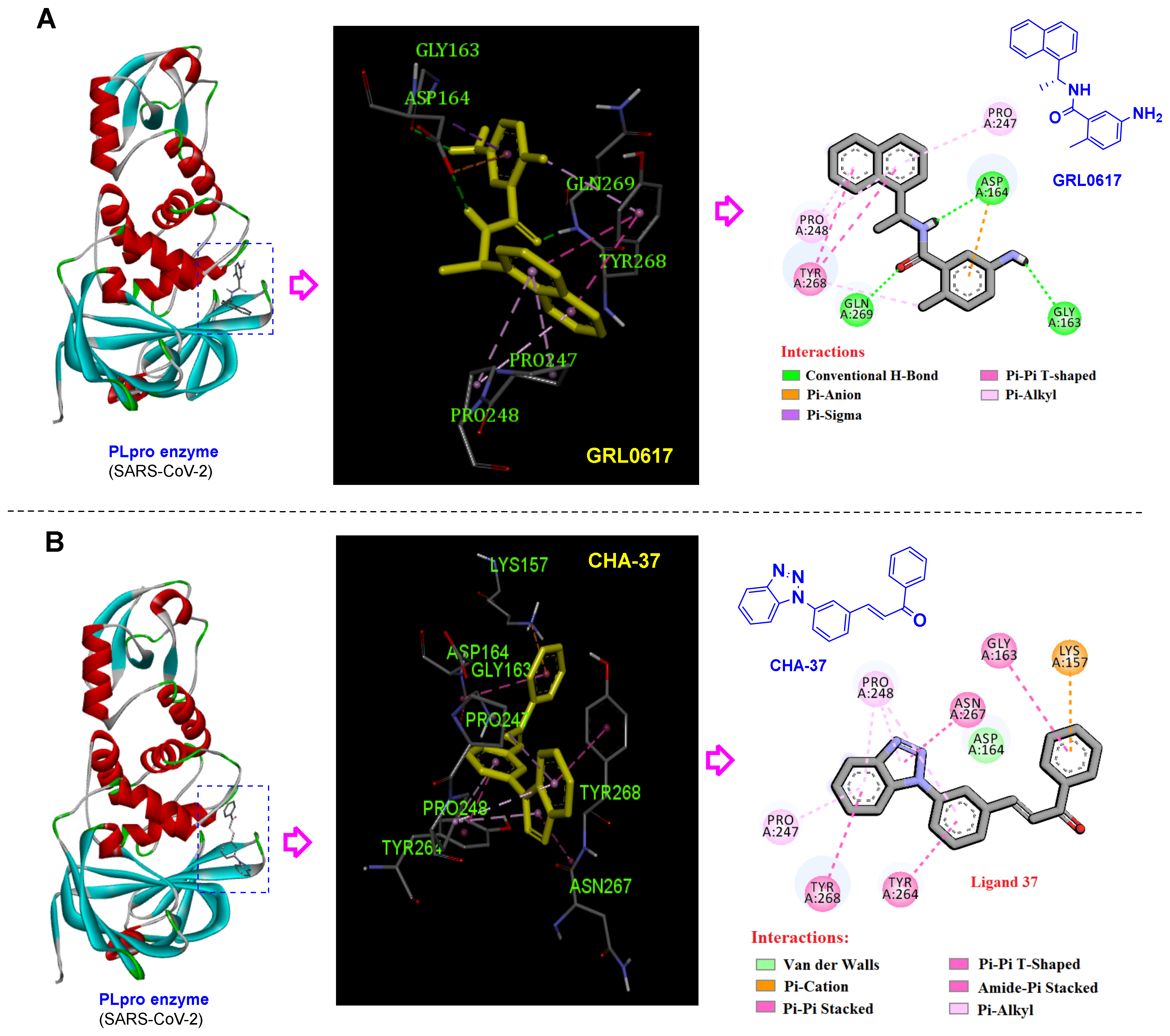 Ijms 24 08789 g008 Ijms 24 08789 g008