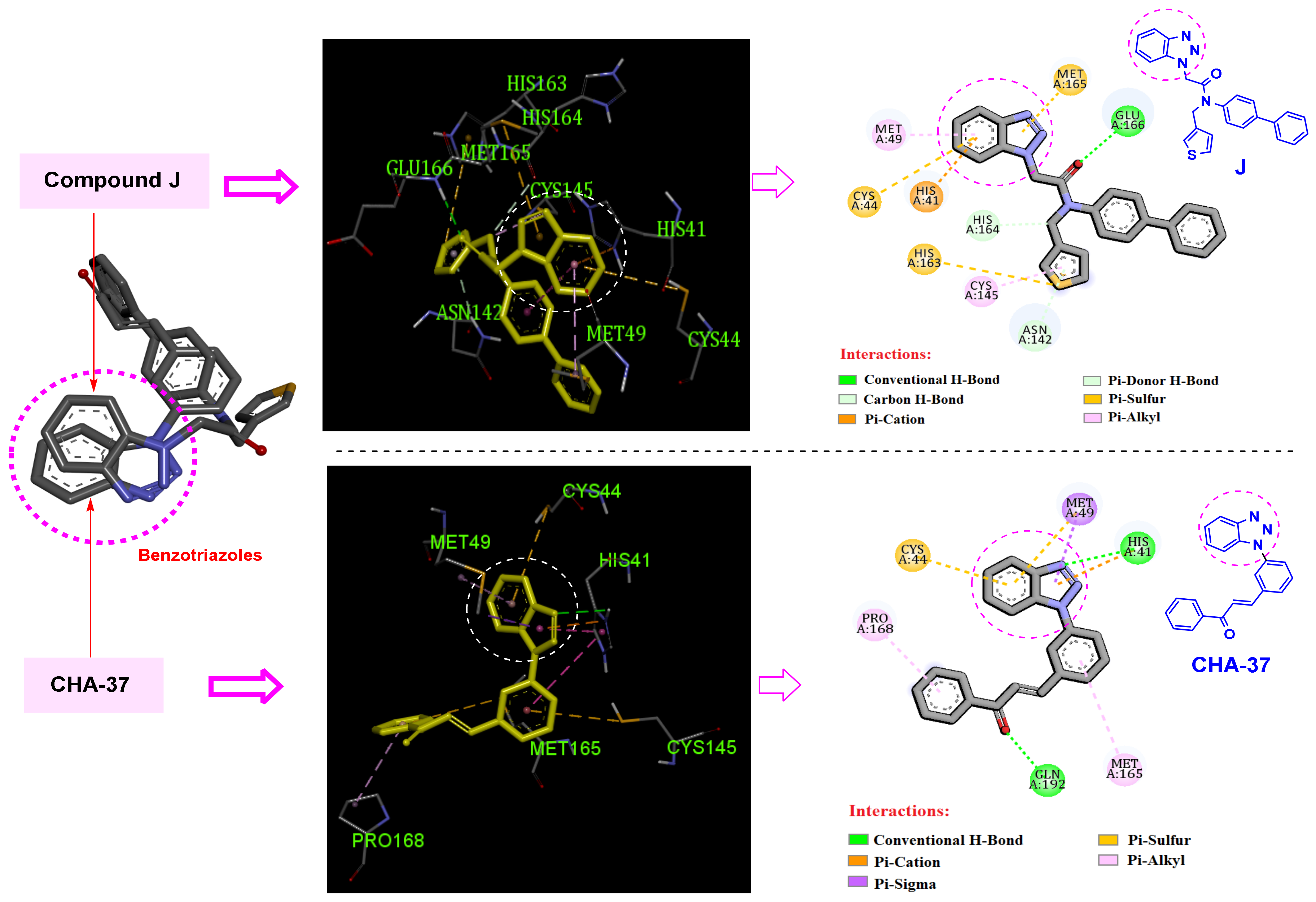 Ijms 24 08789 g019 Ijms 24 08789 g019