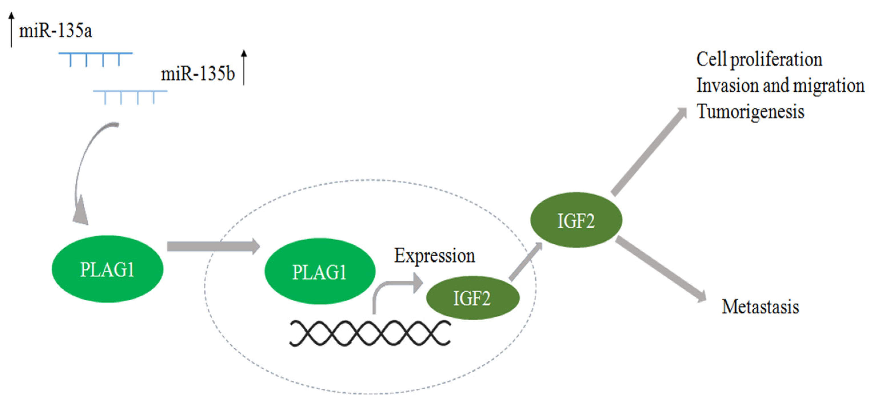 Ijms 24 08793 g005 Ijms 24 08793 g005