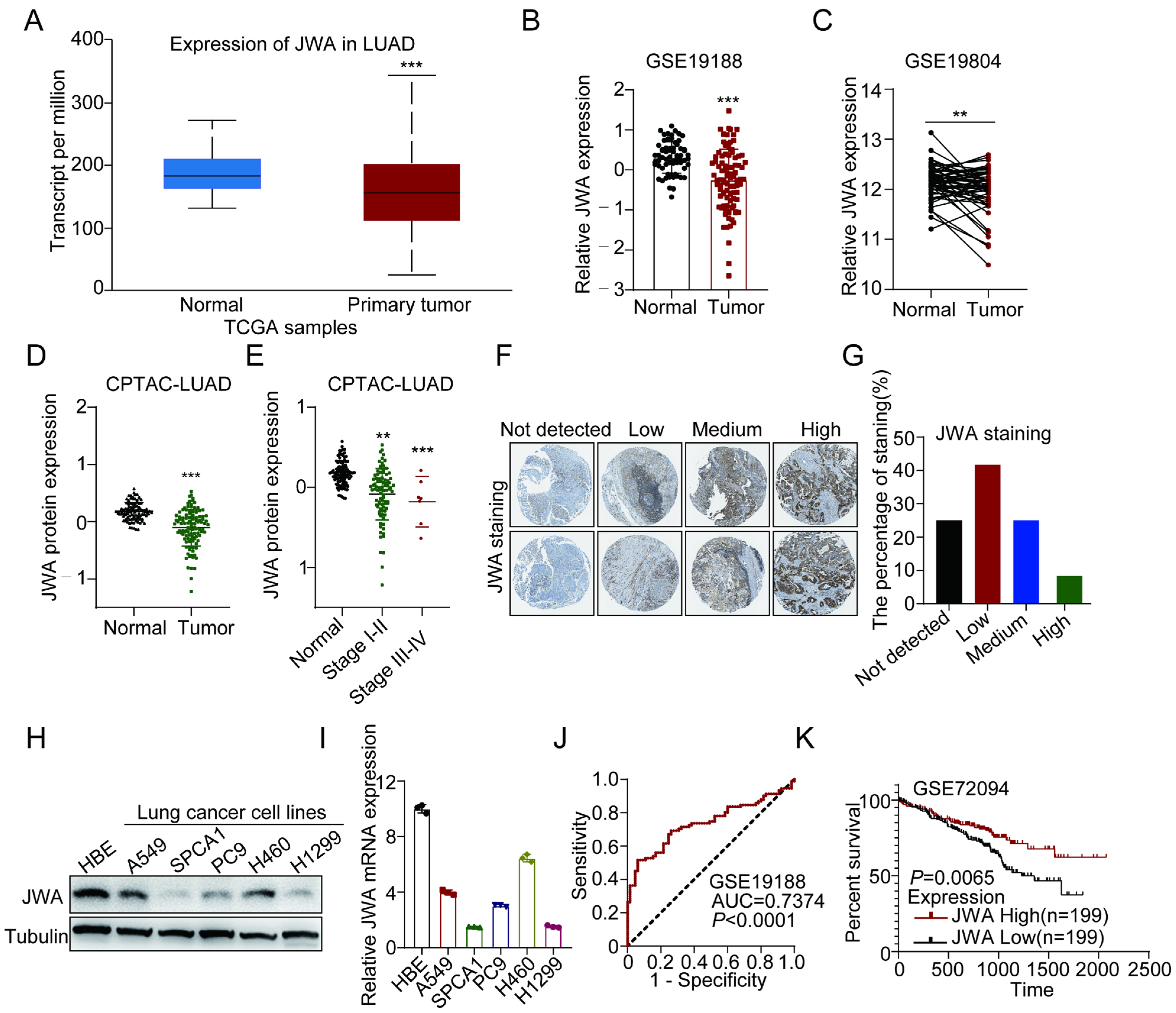Ijms 24 08794 g001 Ijms 24 08794 g001