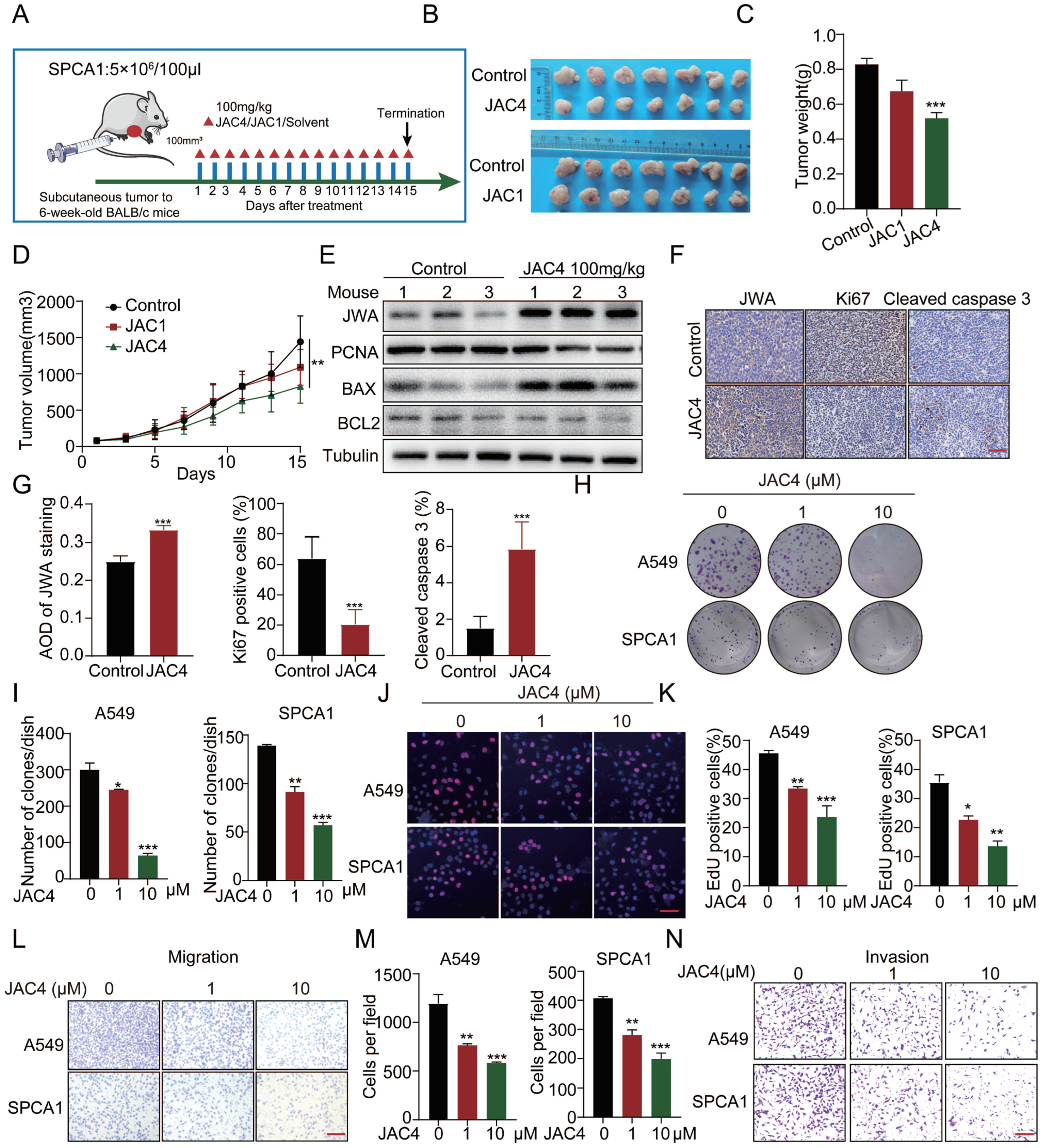 Ijms 24 08794 g002 Ijms 24 08794 g002