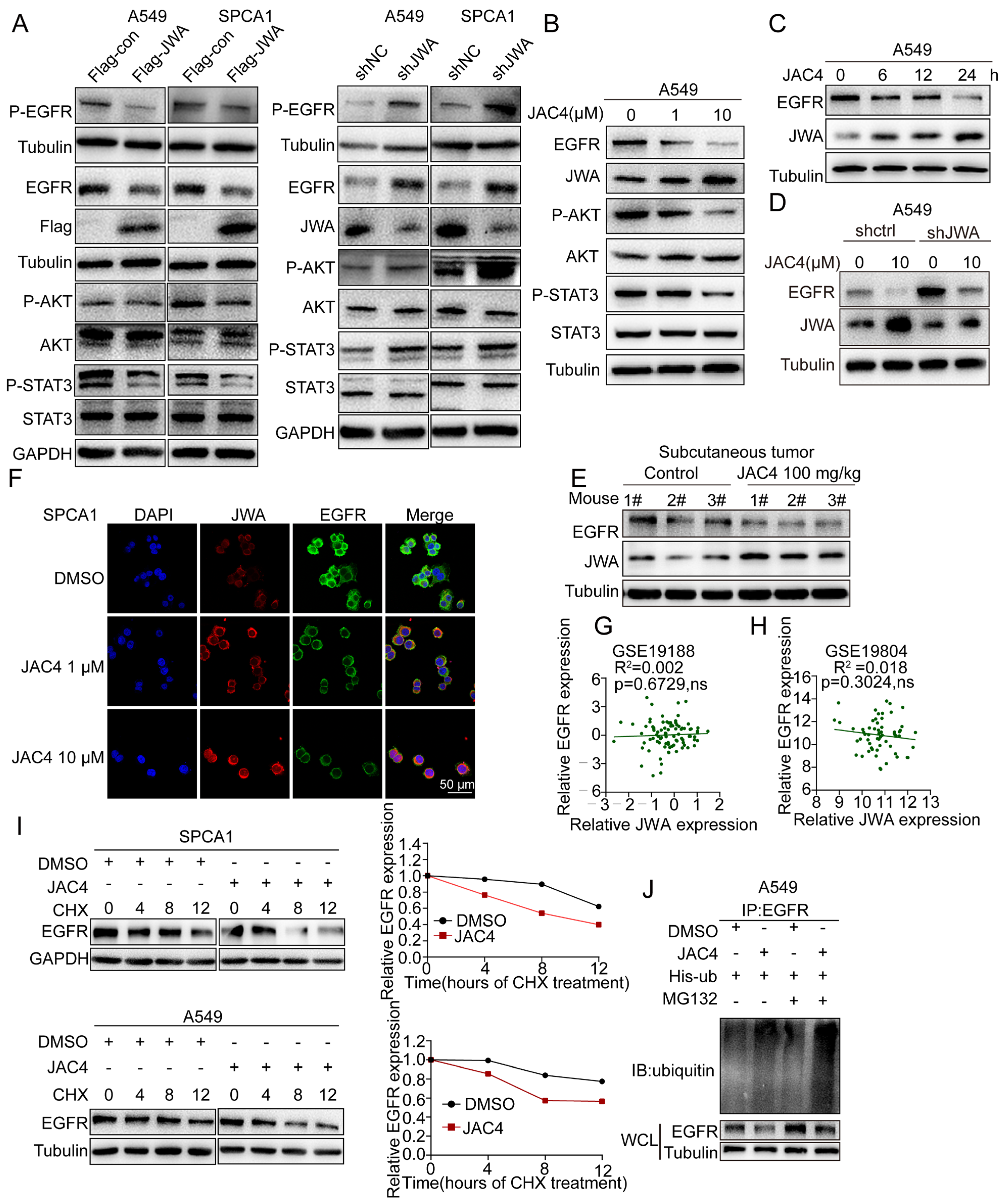 Ijms 24 08794 g003 Ijms 24 08794 g003