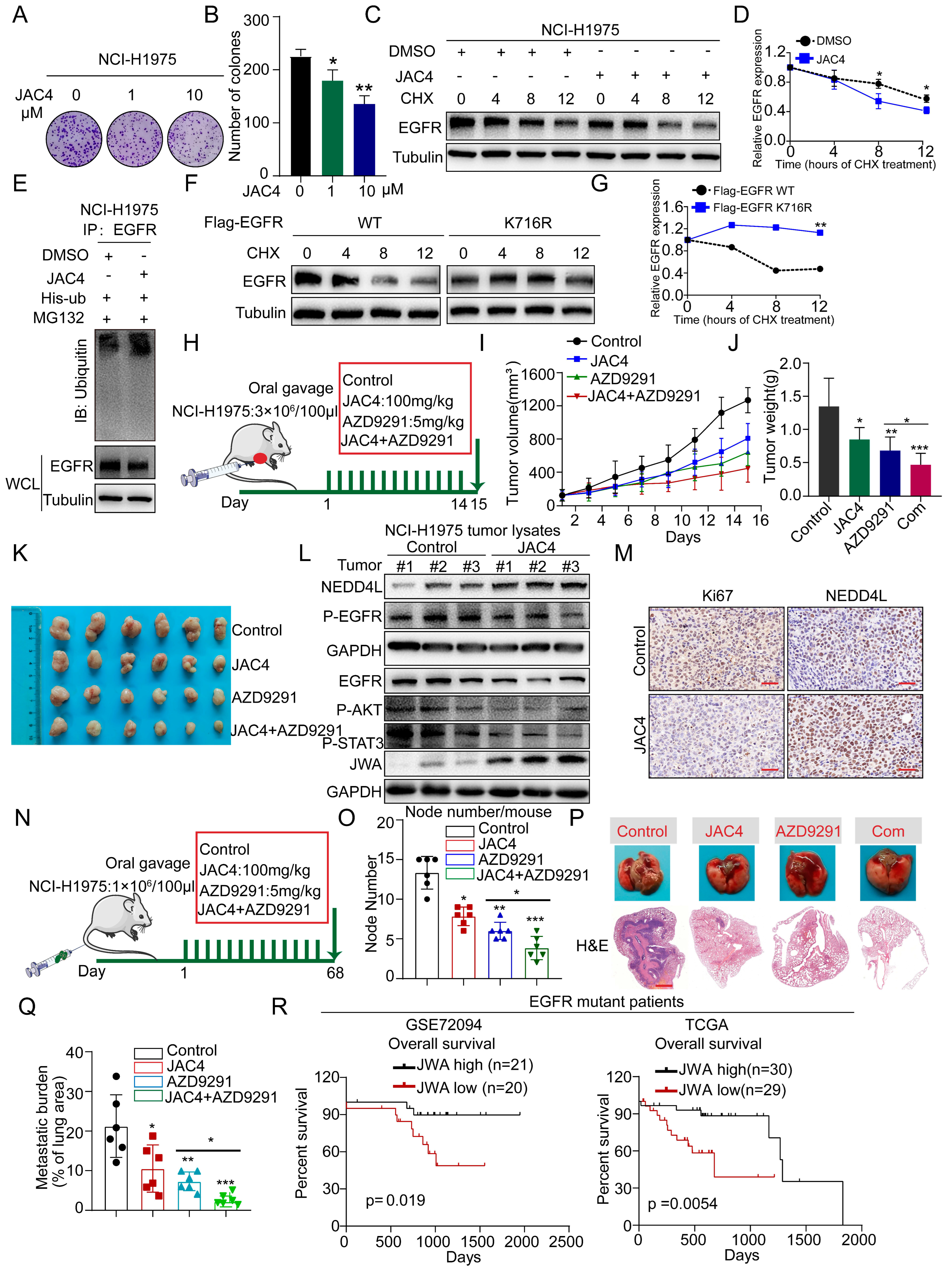 Ijms 24 08794 g006 Ijms 24 08794 g006