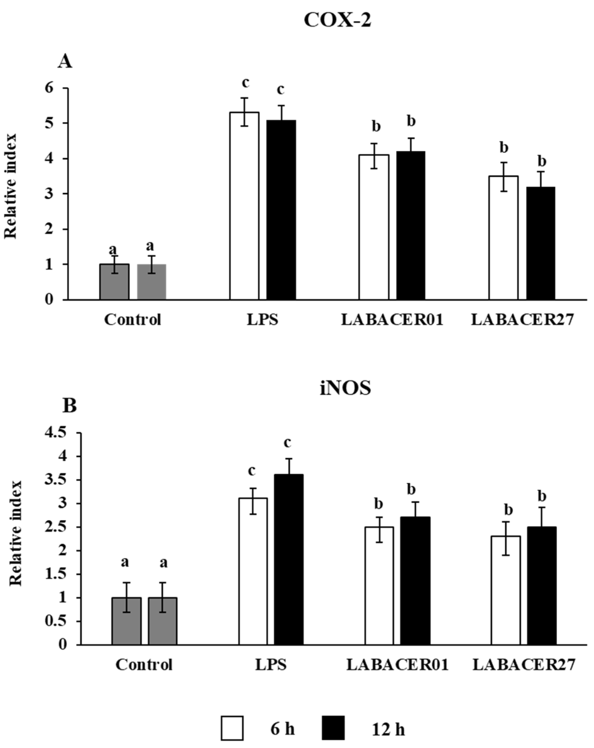Ijms 24 08804 g003 Ijms 24 08804 g003