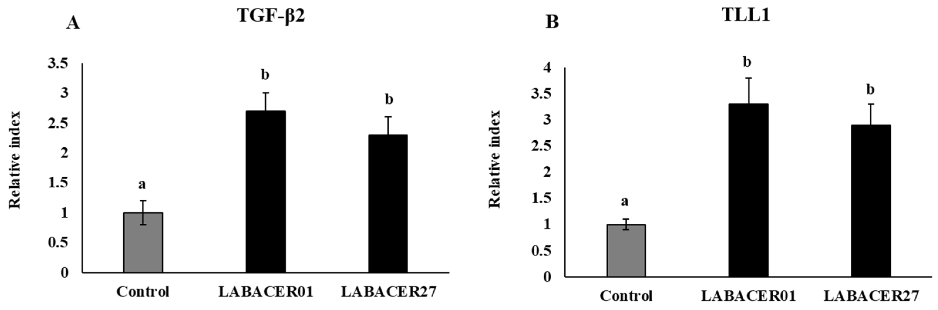 Ijms 24 08804 g006 Ijms 24 08804 g006