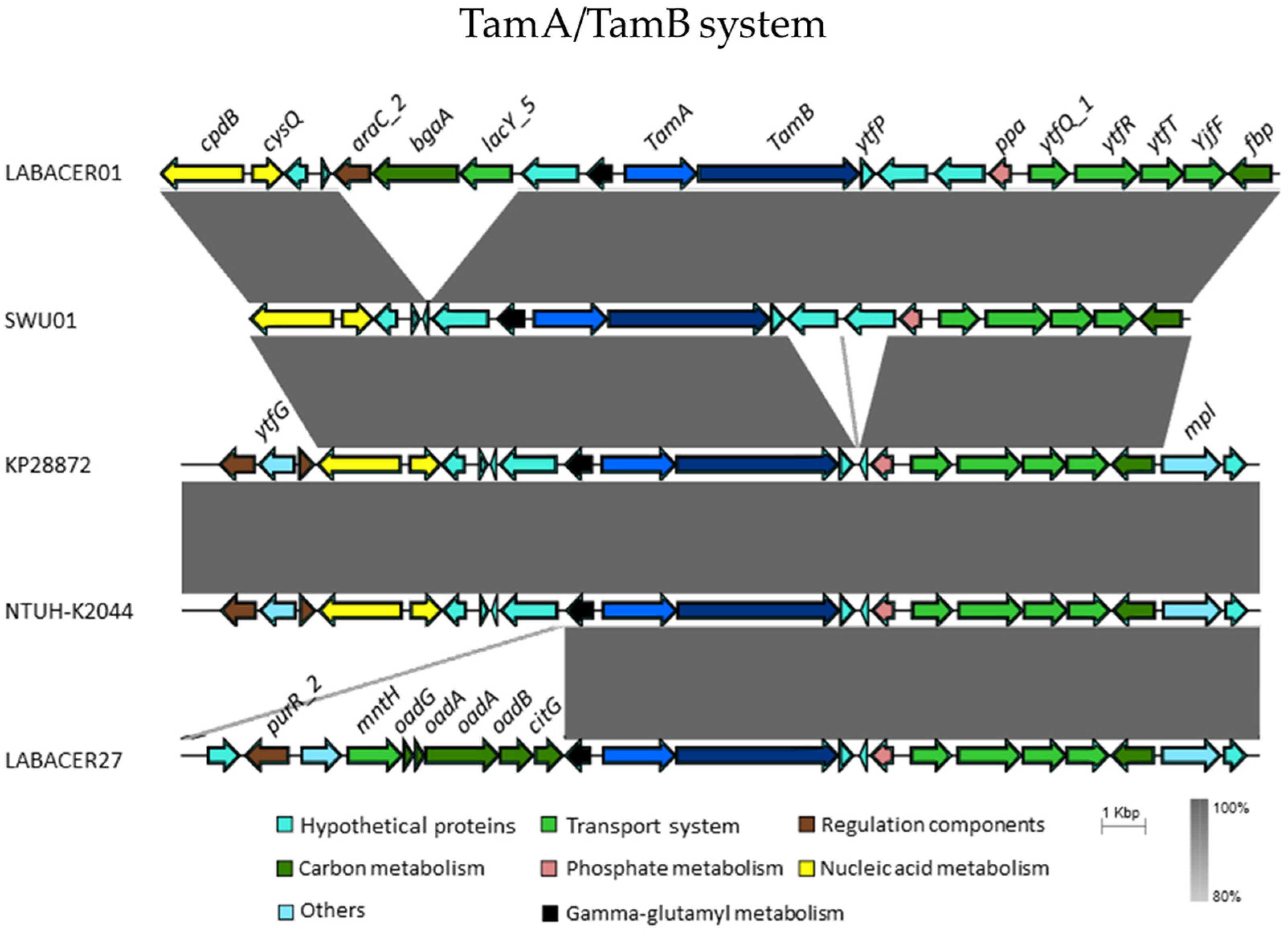 Ijms 24 08804 g007 Ijms 24 08804 g007