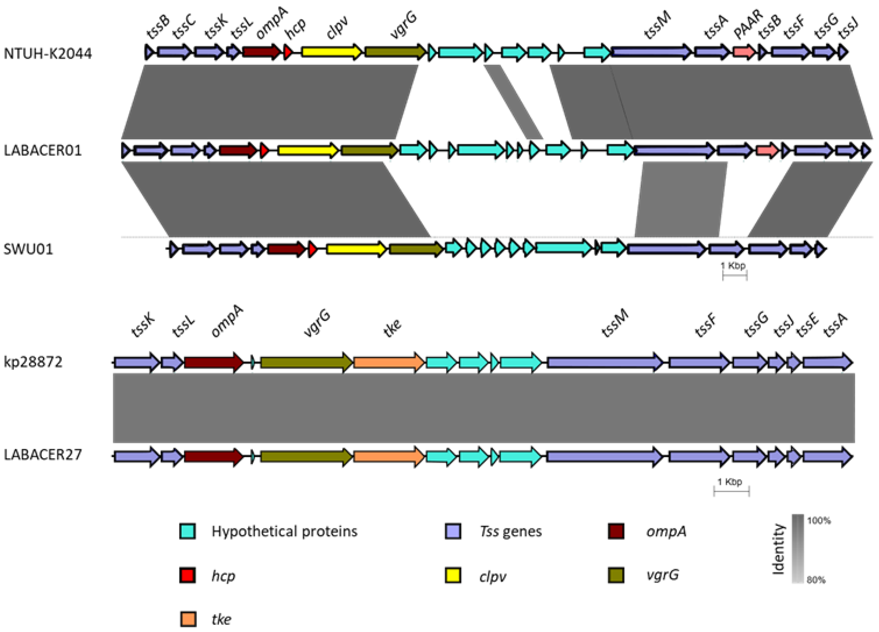 Ijms 24 08804 g008 Ijms 24 08804 g008