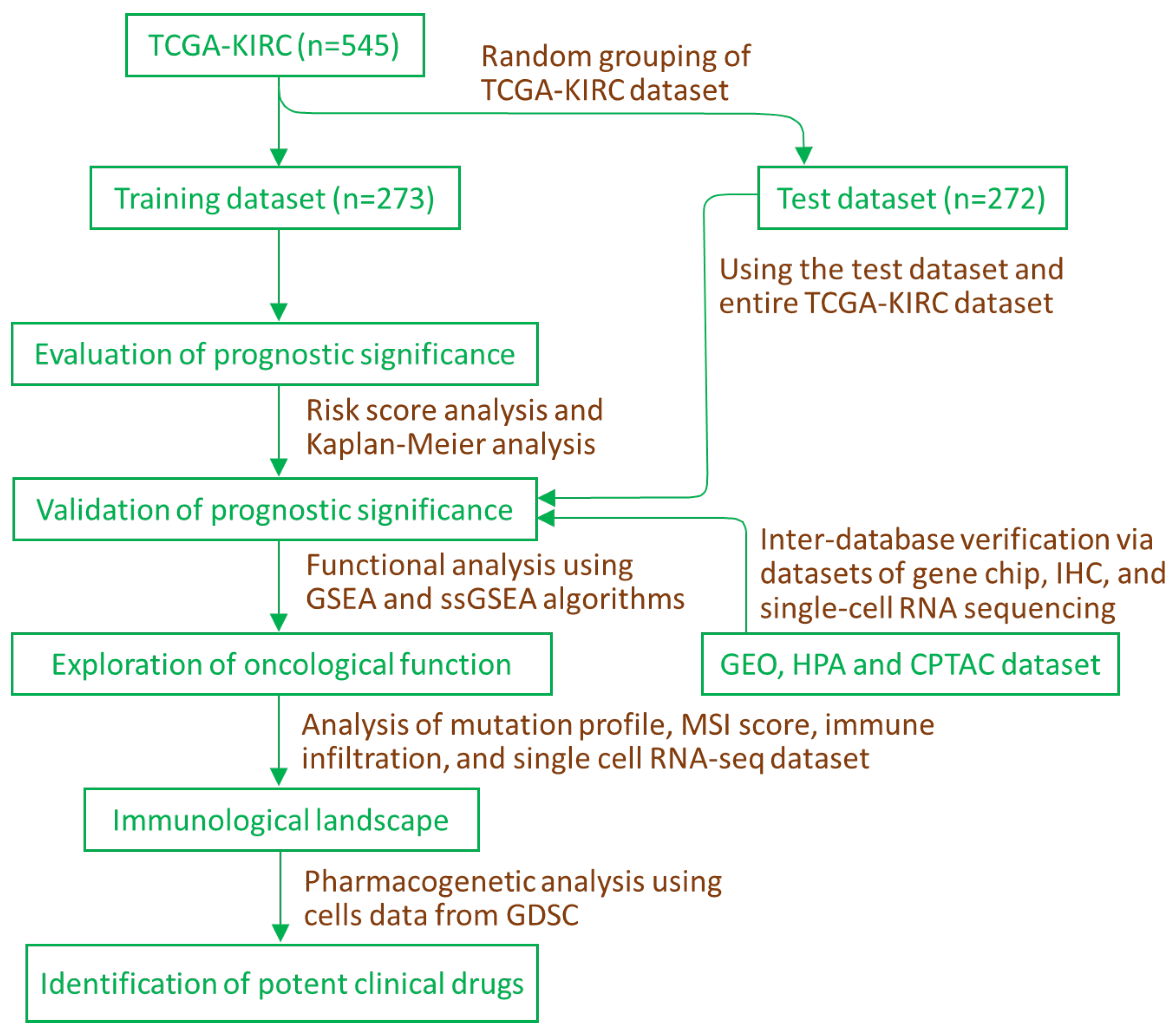 Ijms 24 08807 g001 Ijms 24 08807 g001