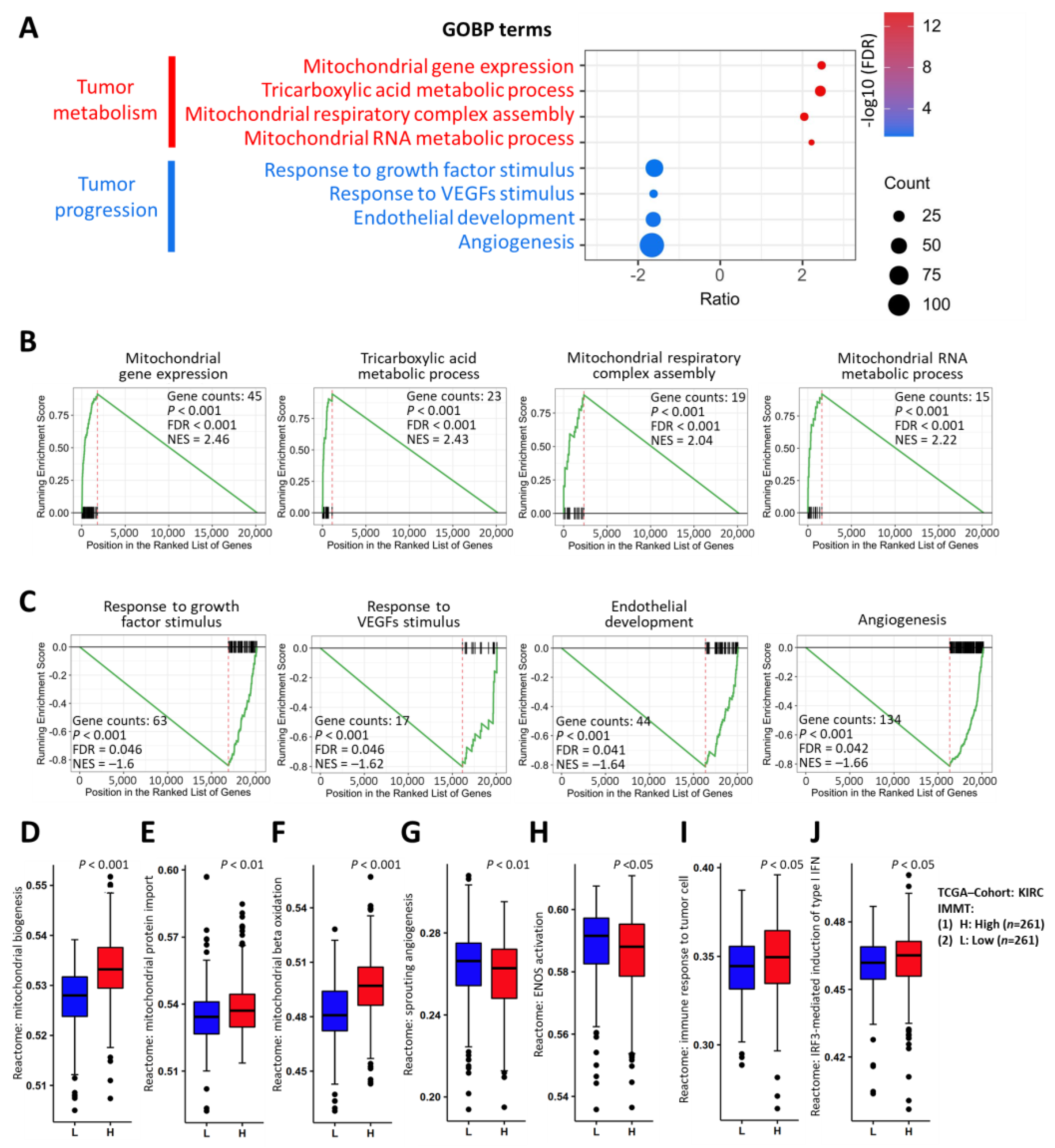 Ijms 24 08807 g004 Ijms 24 08807 g004