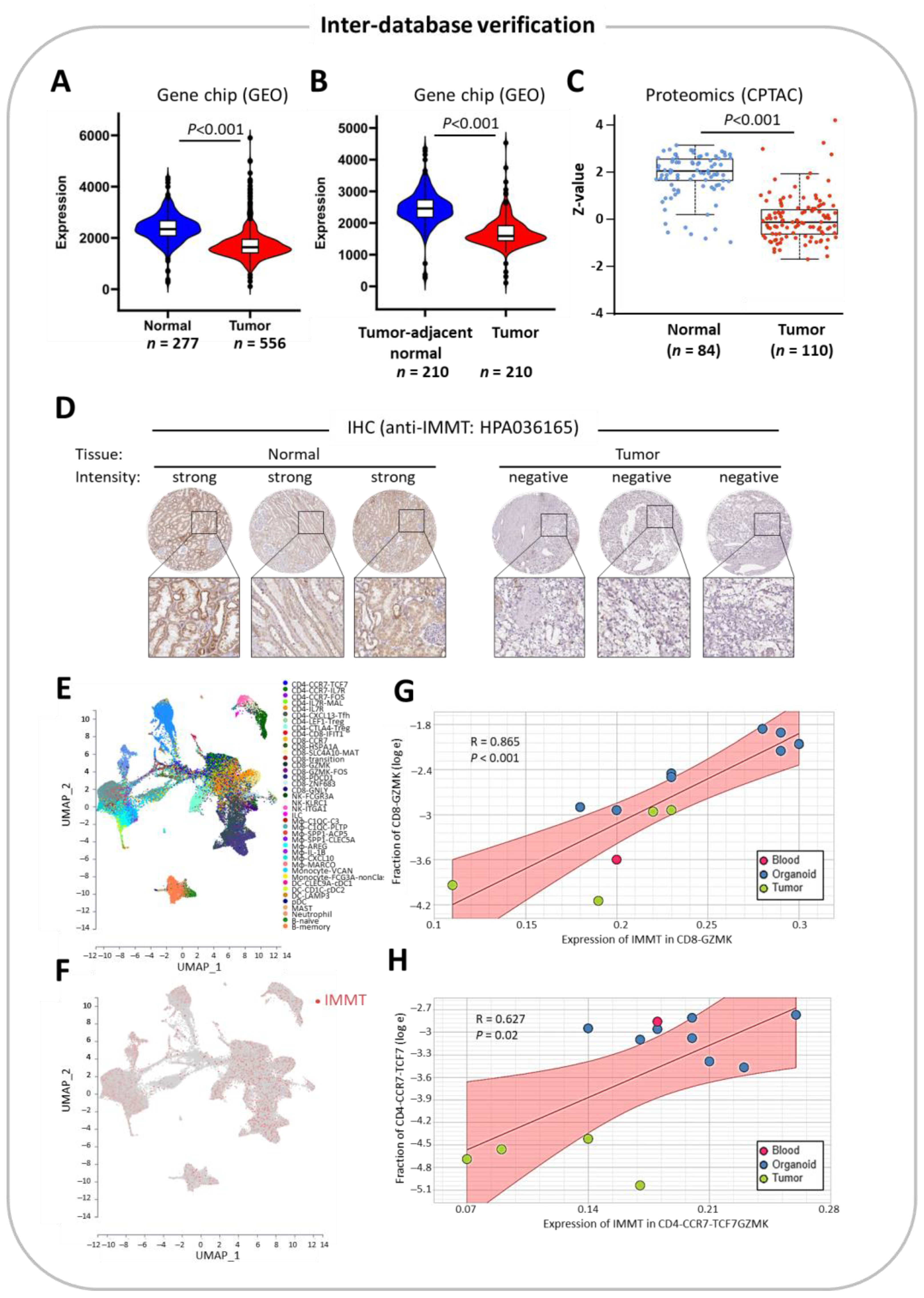 Ijms 24 08807 g006 Ijms 24 08807 g006