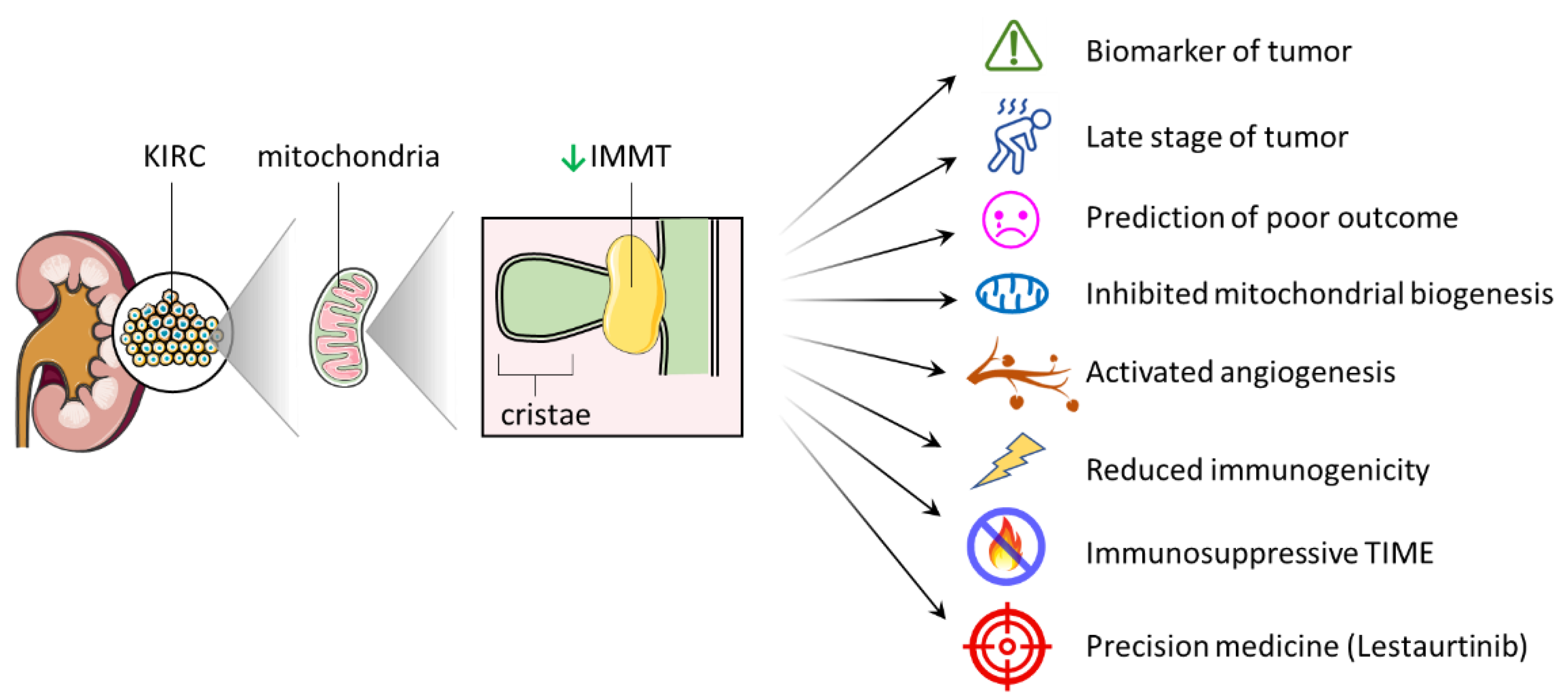 Ijms 24 08807 g008 Ijms 24 08807 g008