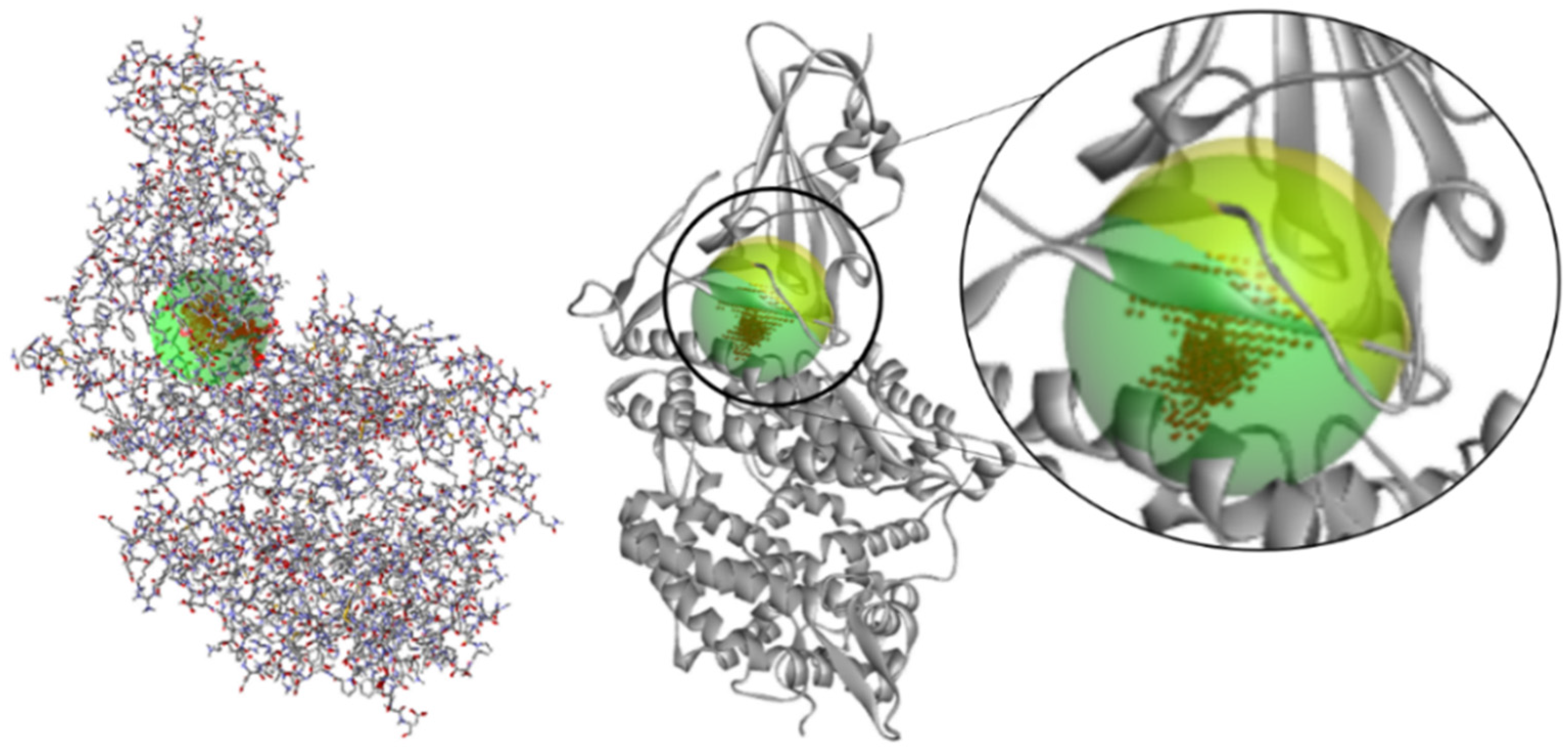 Ijms 24 08814 g003 Ijms 24 08814 g003