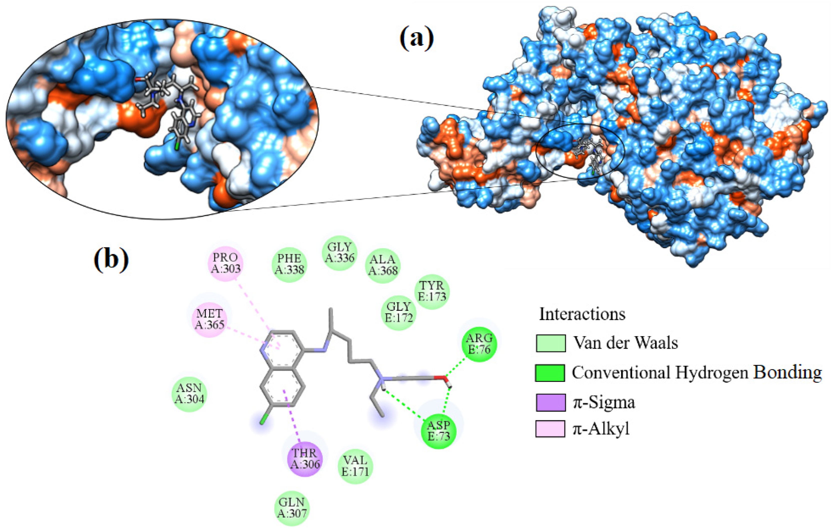 Ijms 24 08814 g010 Ijms 24 08814 g010