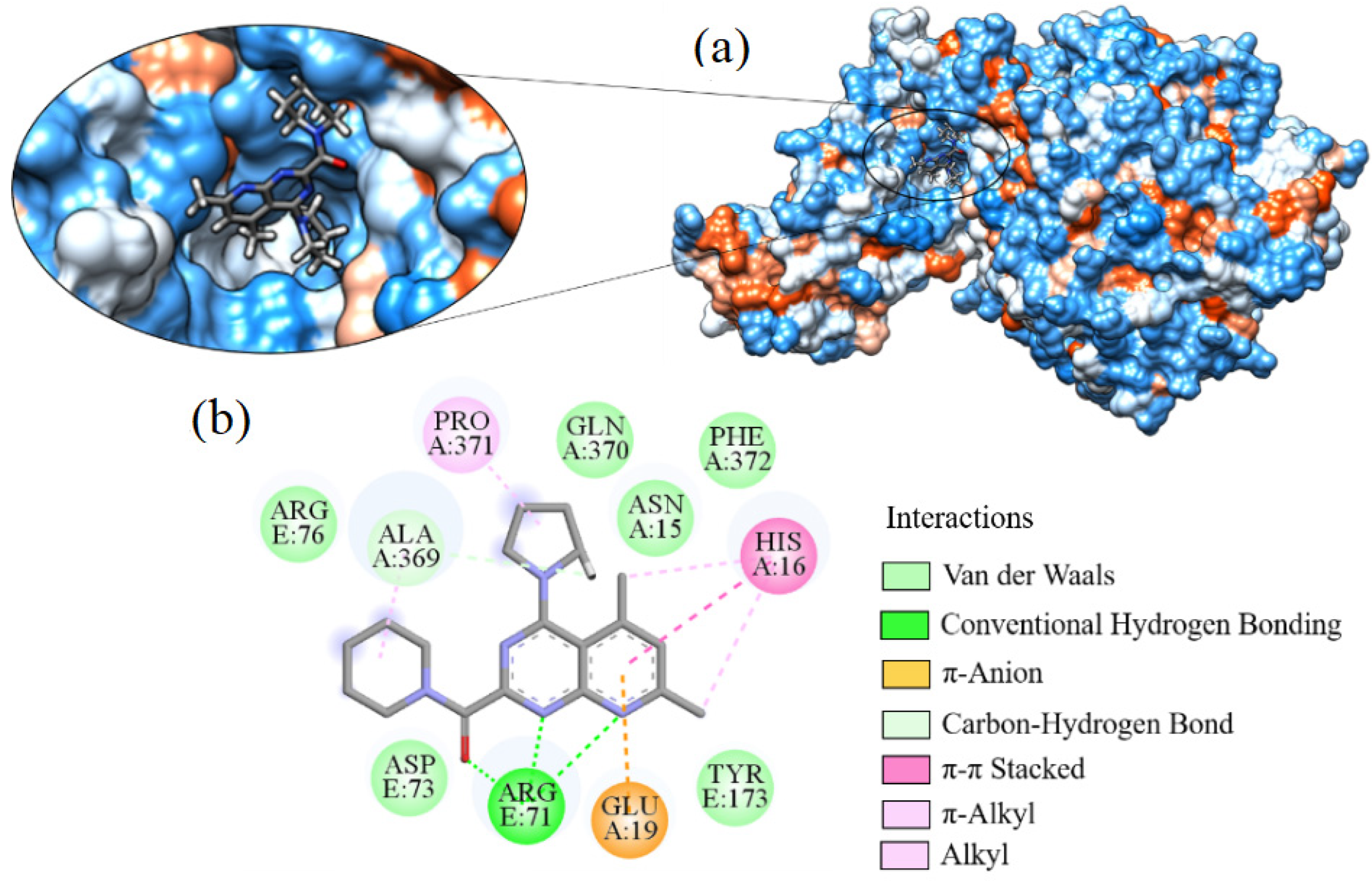 Ijms 24 08814 g013 Ijms 24 08814 g013