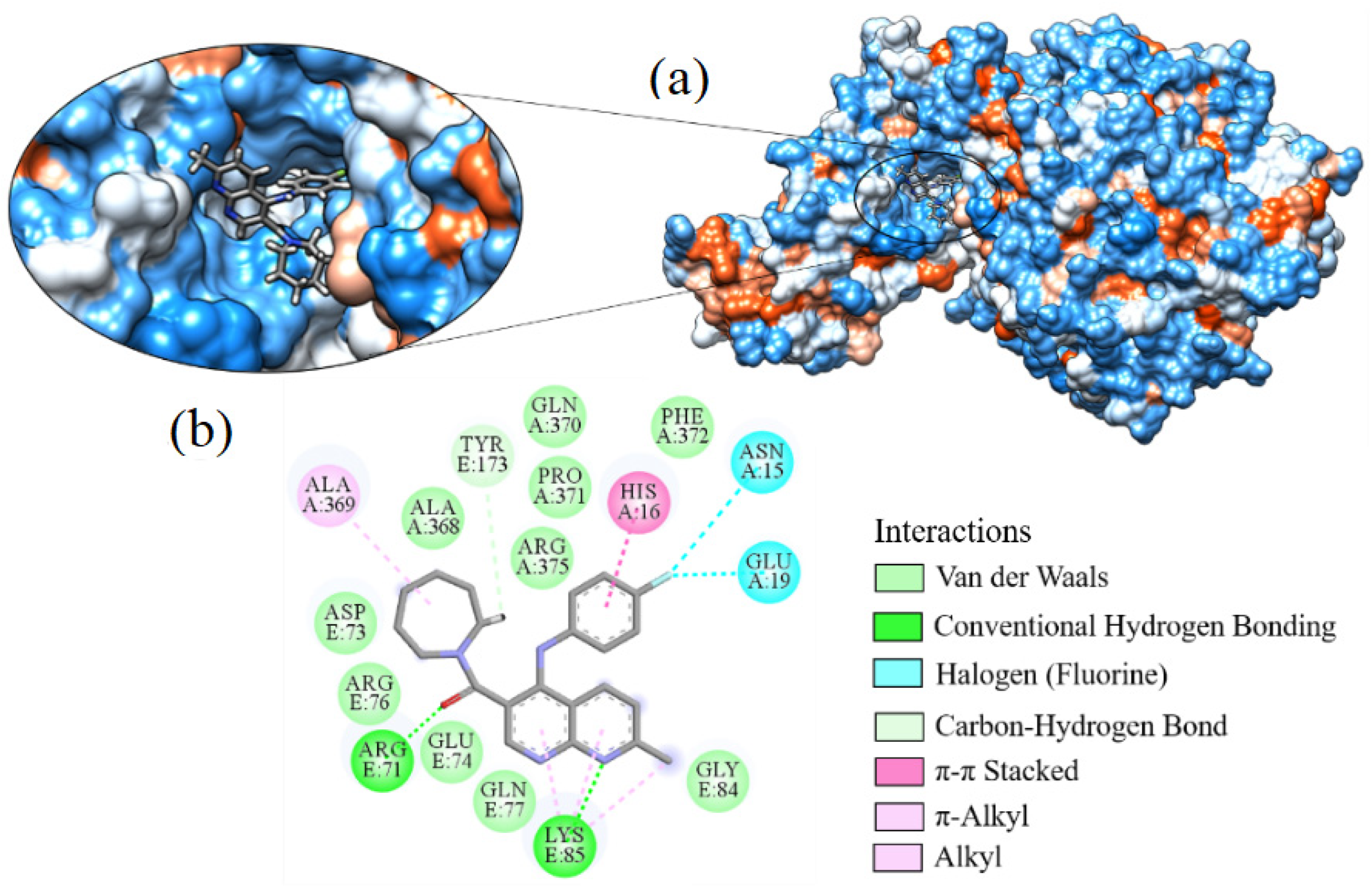 Ijms 24 08814 g014 Ijms 24 08814 g014