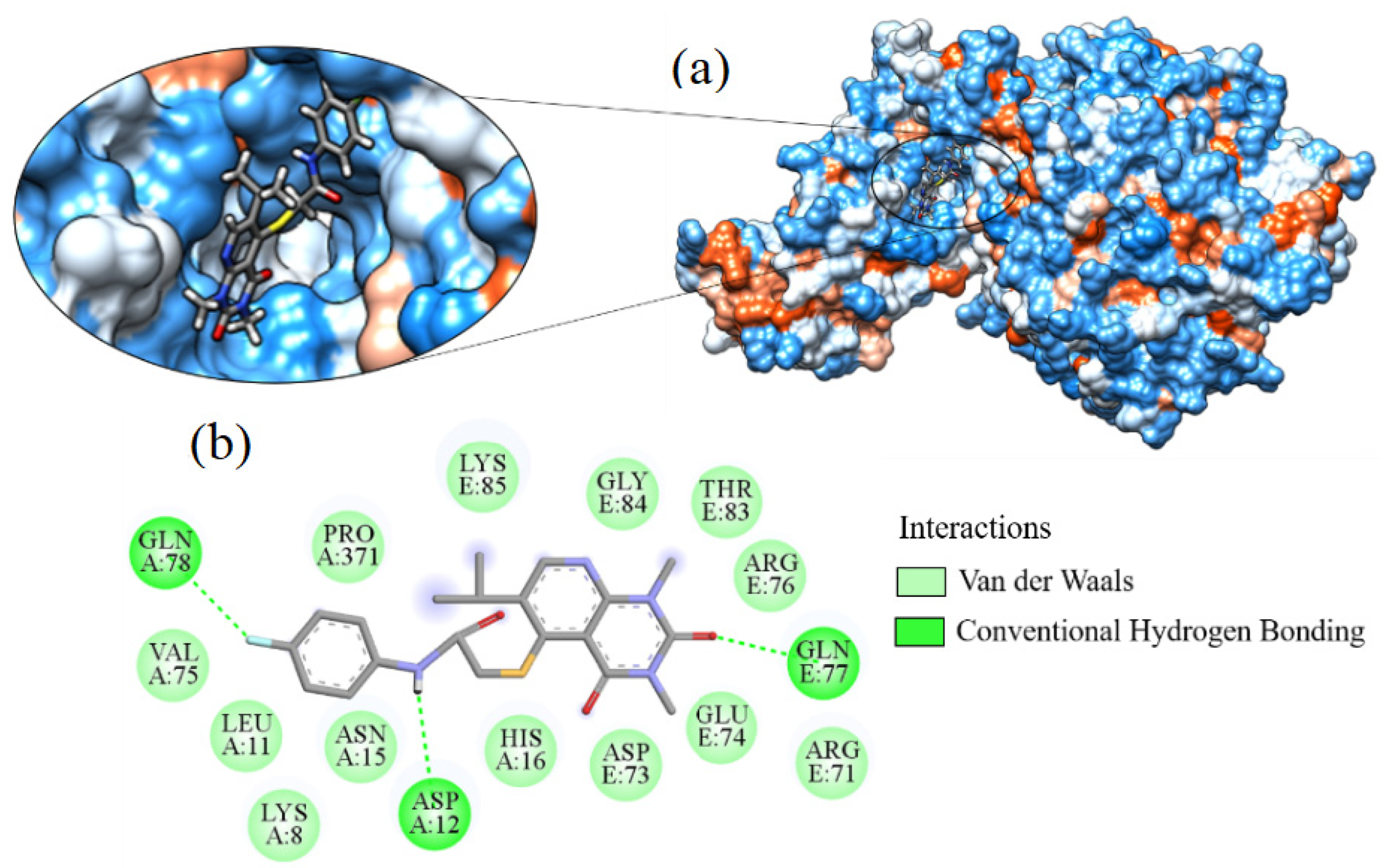 Ijms 24 08814 g015 Ijms 24 08814 g015