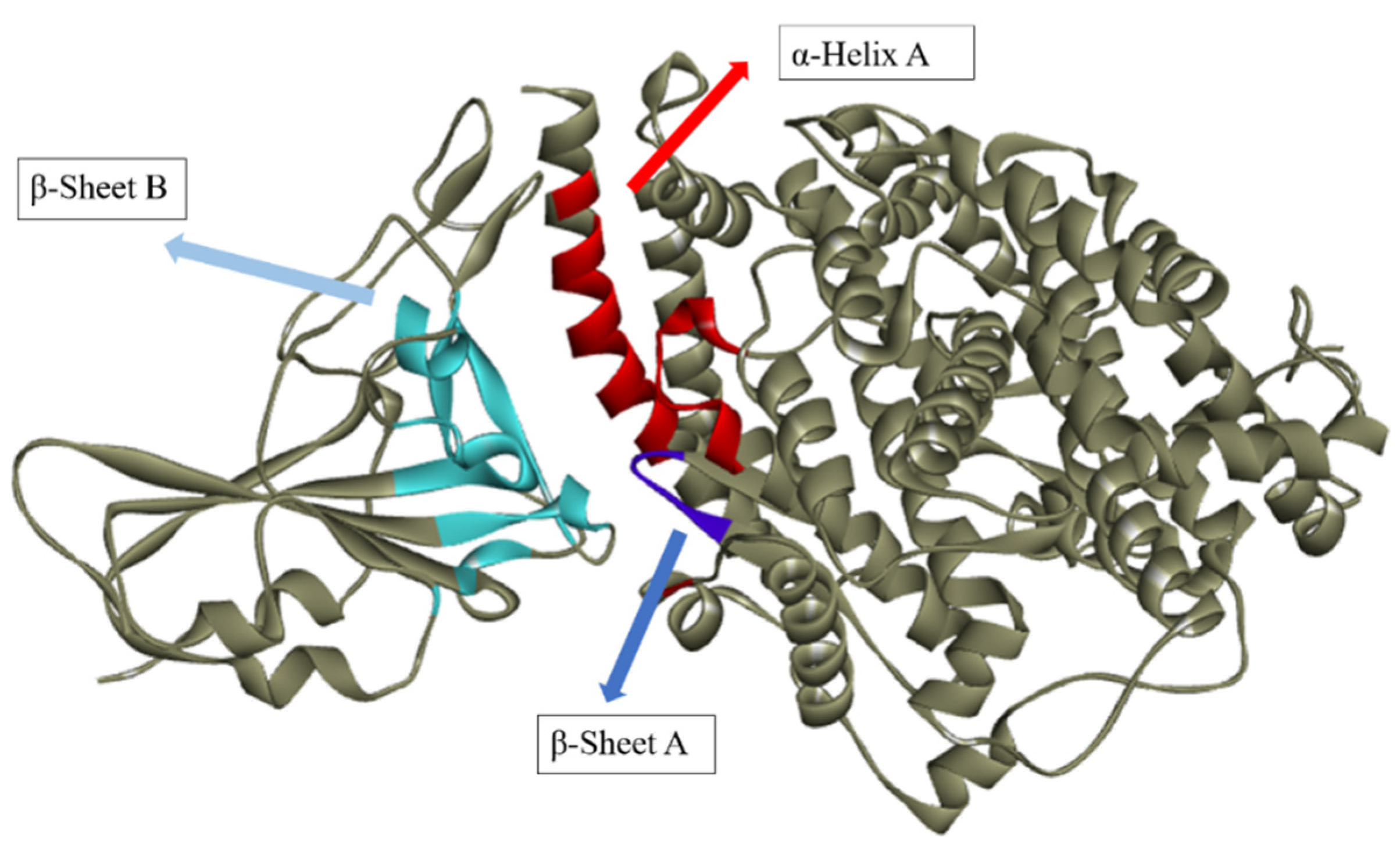 Ijms 24 08814 g017 Ijms 24 08814 g017