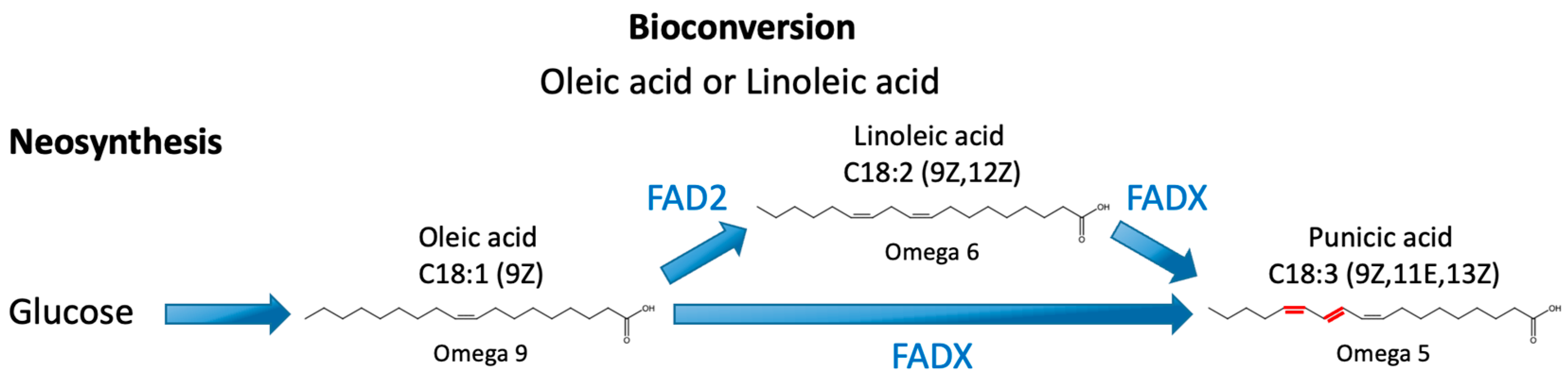 Ijms 24 08823 g001 Ijms 24 08823 g001