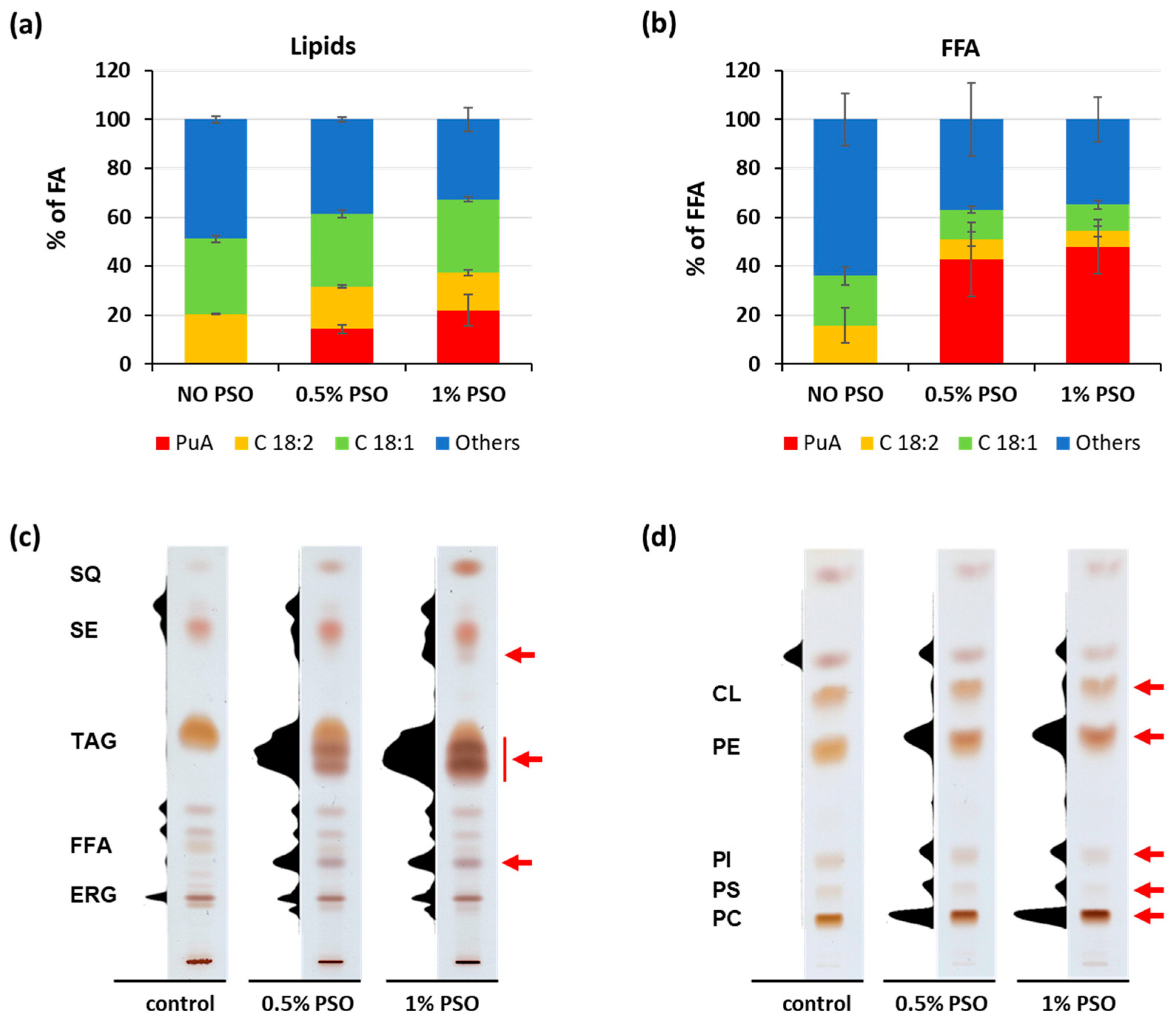 Ijms 24 08823 g002 Ijms 24 08823 g002