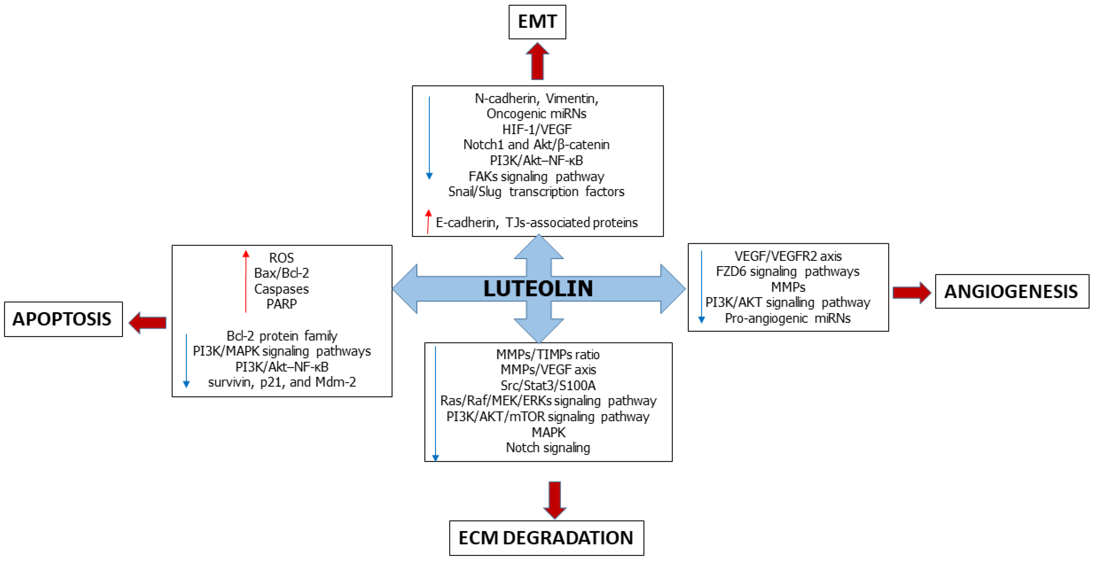 Ijms 24 08824 g001 Ijms 24 08824 g001