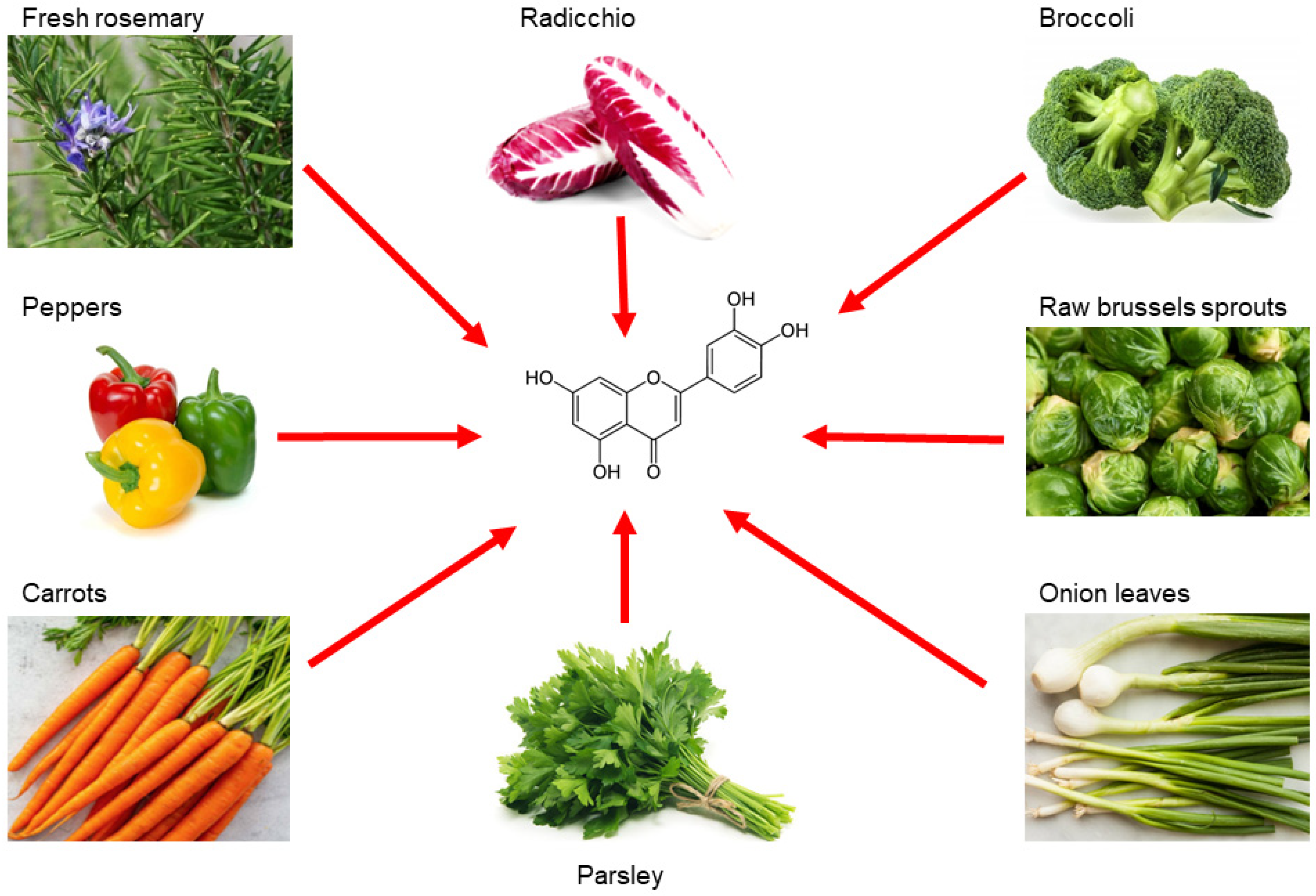 Ijms 24 08824 g002 Ijms 24 08824 g002