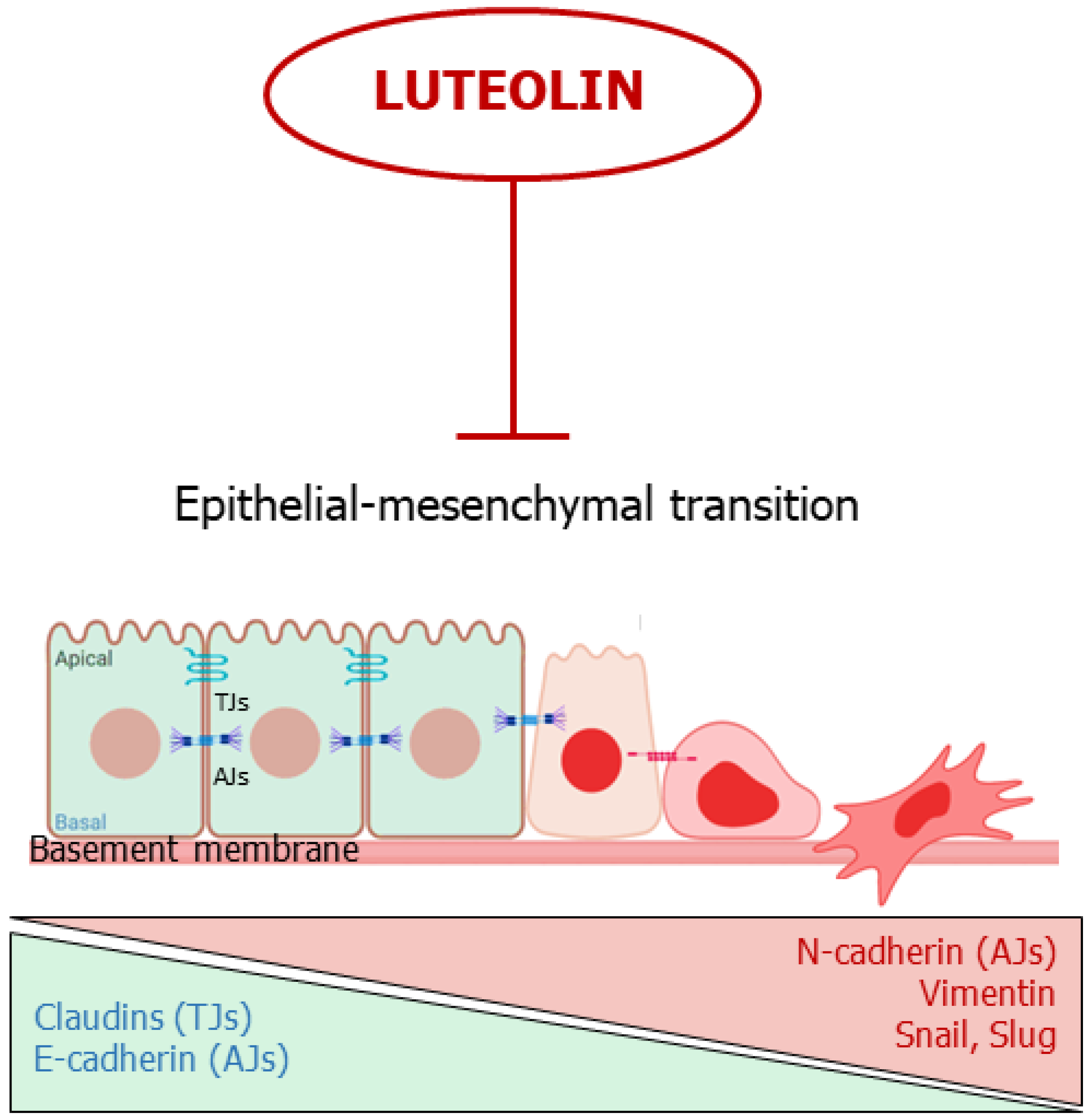 Ijms 24 08824 g004 Ijms 24 08824 g004