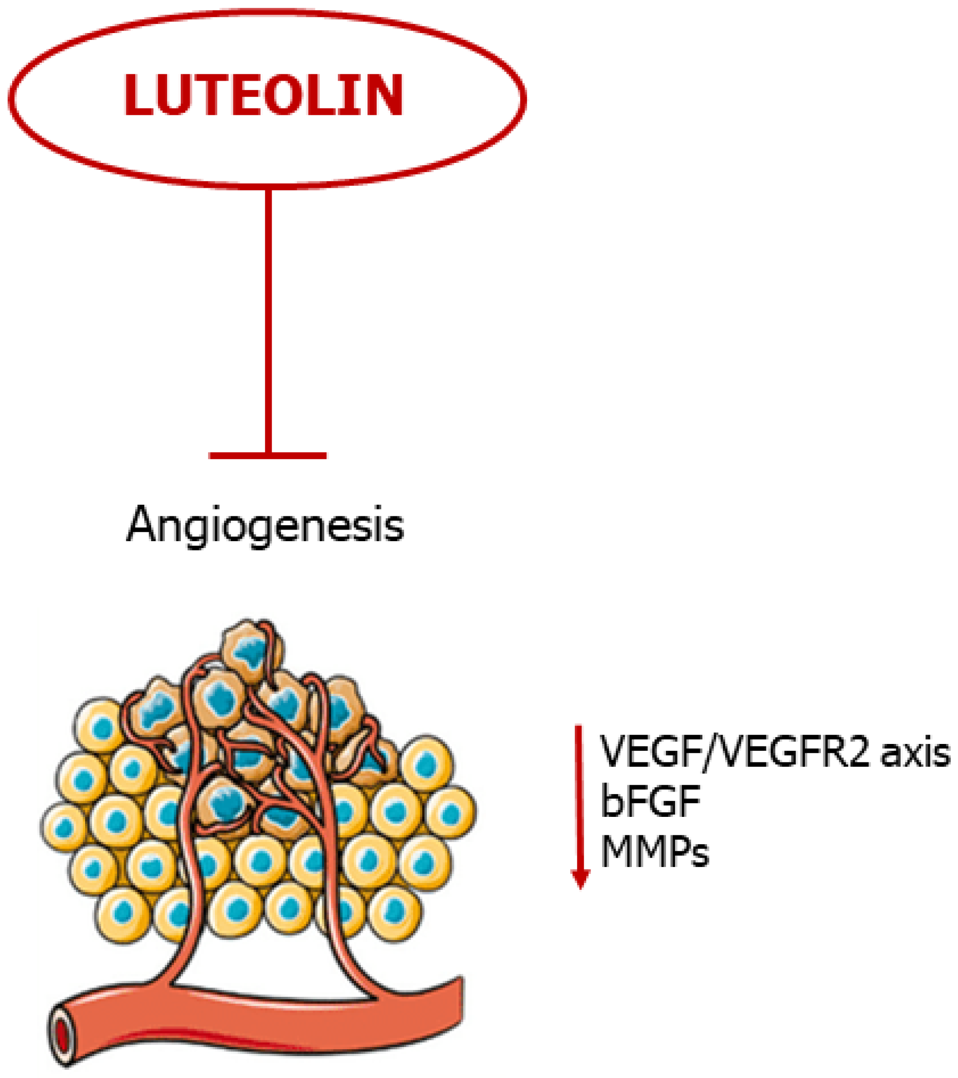 Ijms 24 08824 g005 Ijms 24 08824 g005