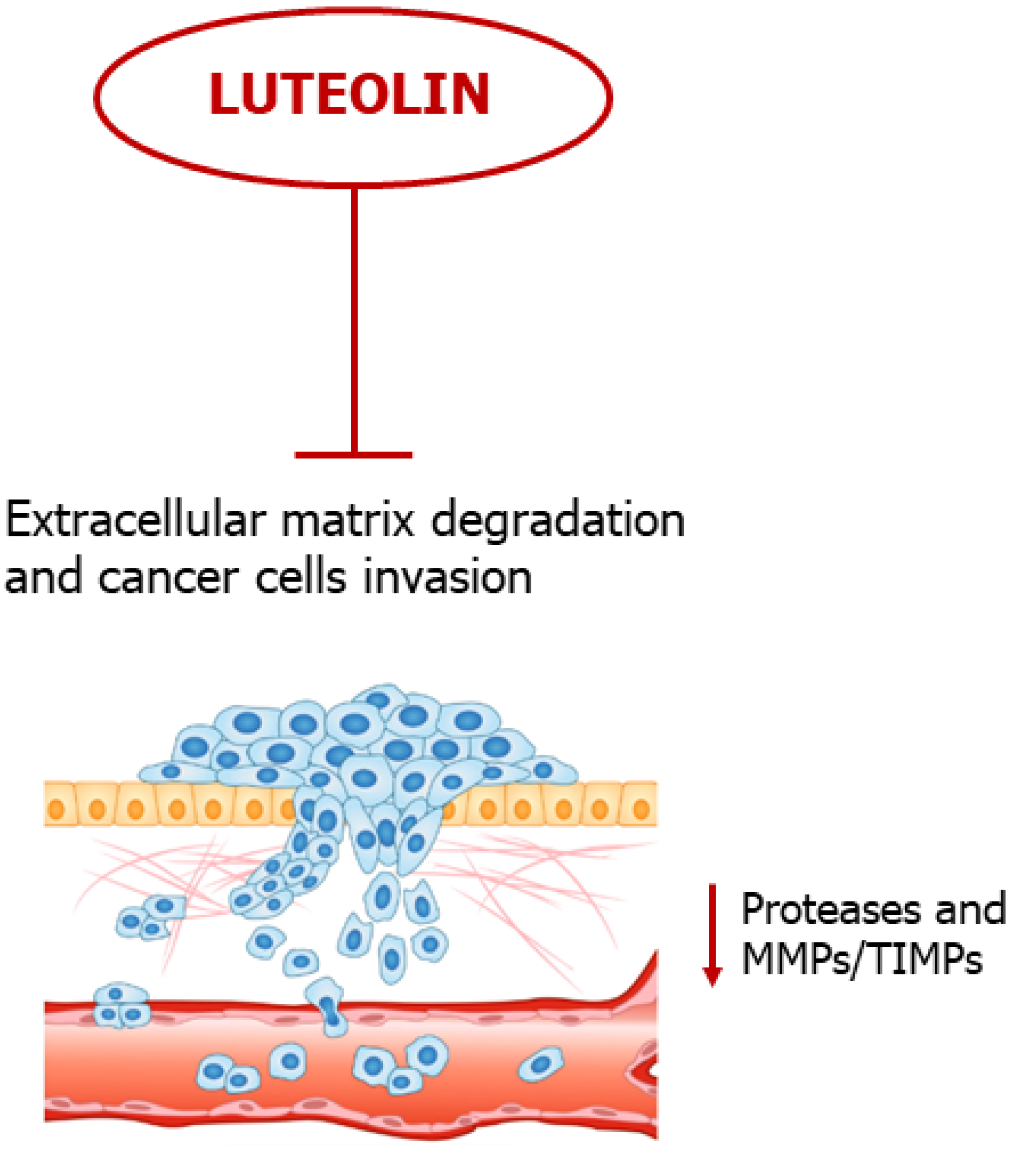Ijms 24 08824 g006 Ijms 24 08824 g006