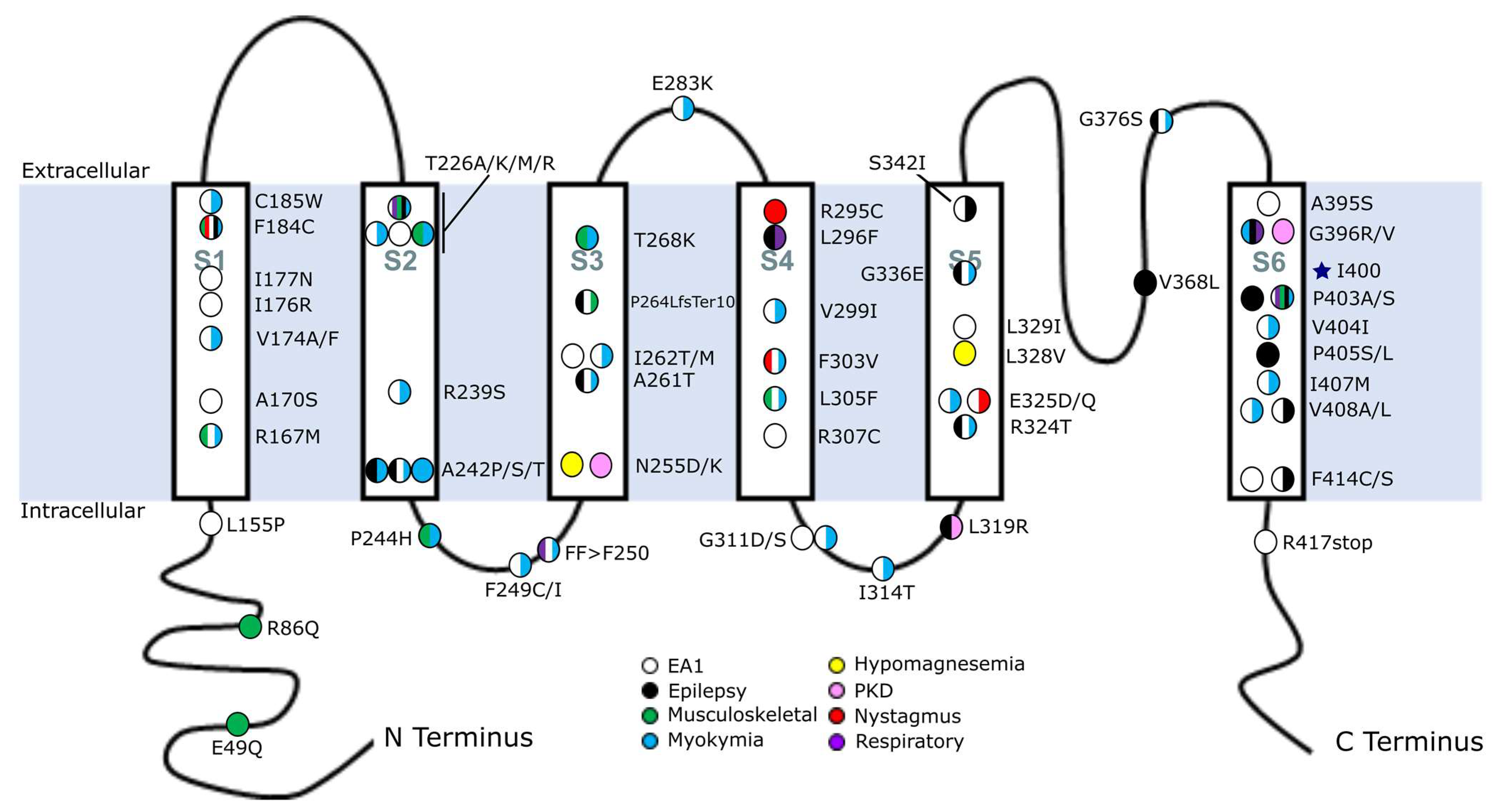 Ijms 24 08826 g001 Ijms 24 08826 g001