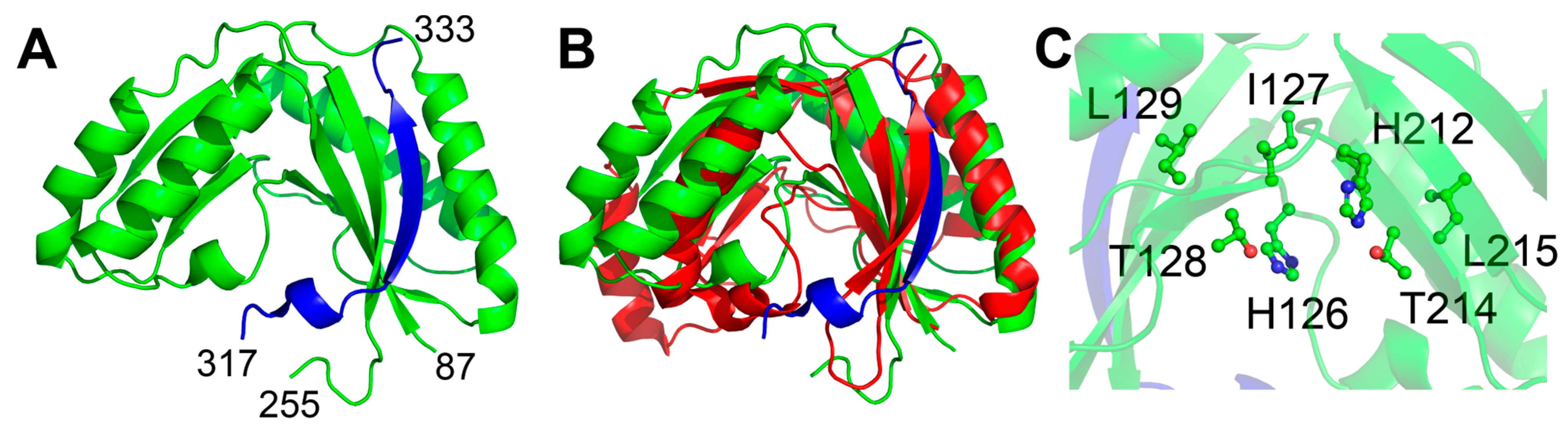 Ijms 24 08834 g002 Ijms 24 08834 g002