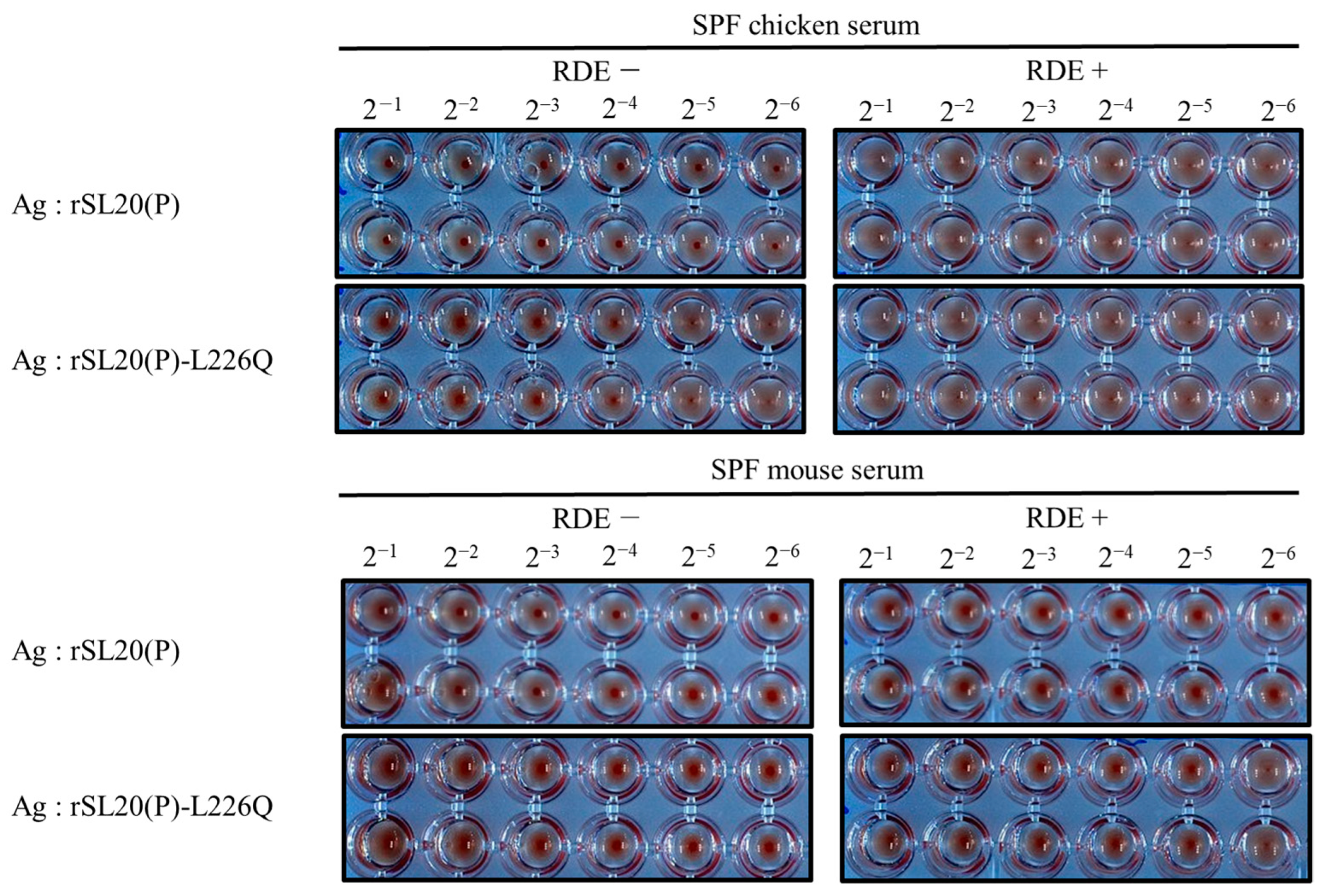 Ijms 24 08840 g003 Ijms 24 08840 g003