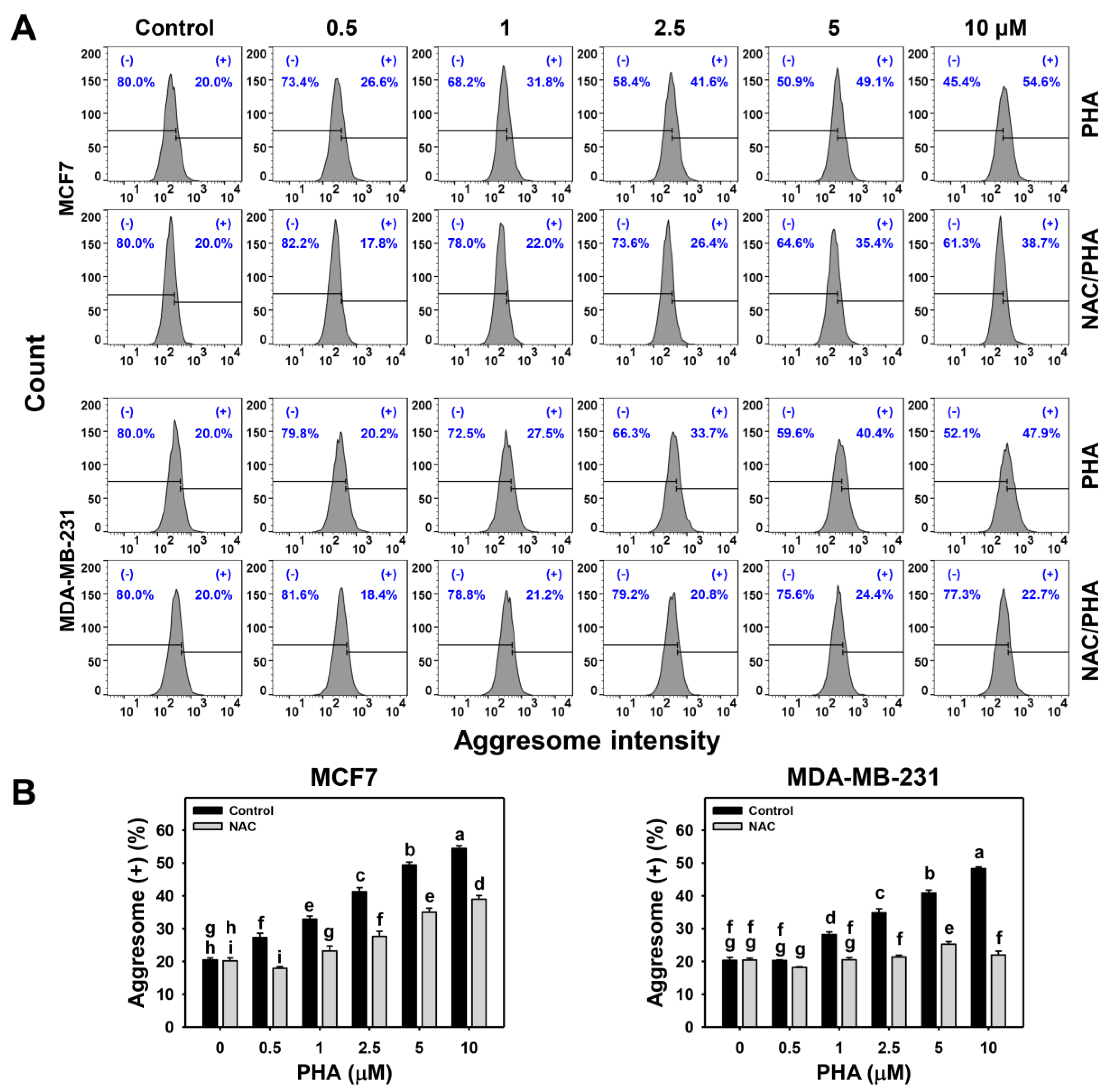 Ijms 24 08853 g002 Ijms 24 08853 g002