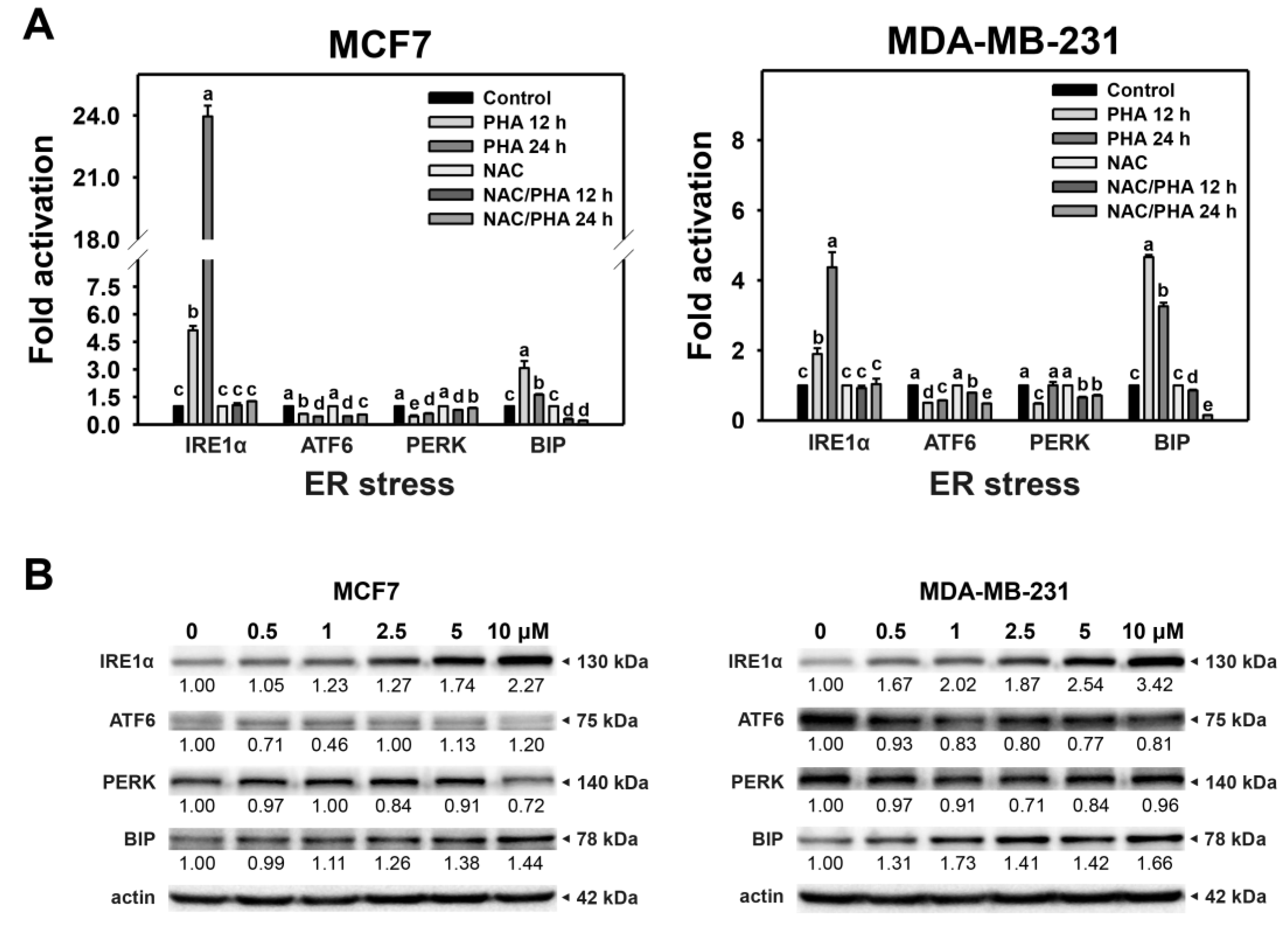 Ijms 24 08853 g003 Ijms 24 08853 g003