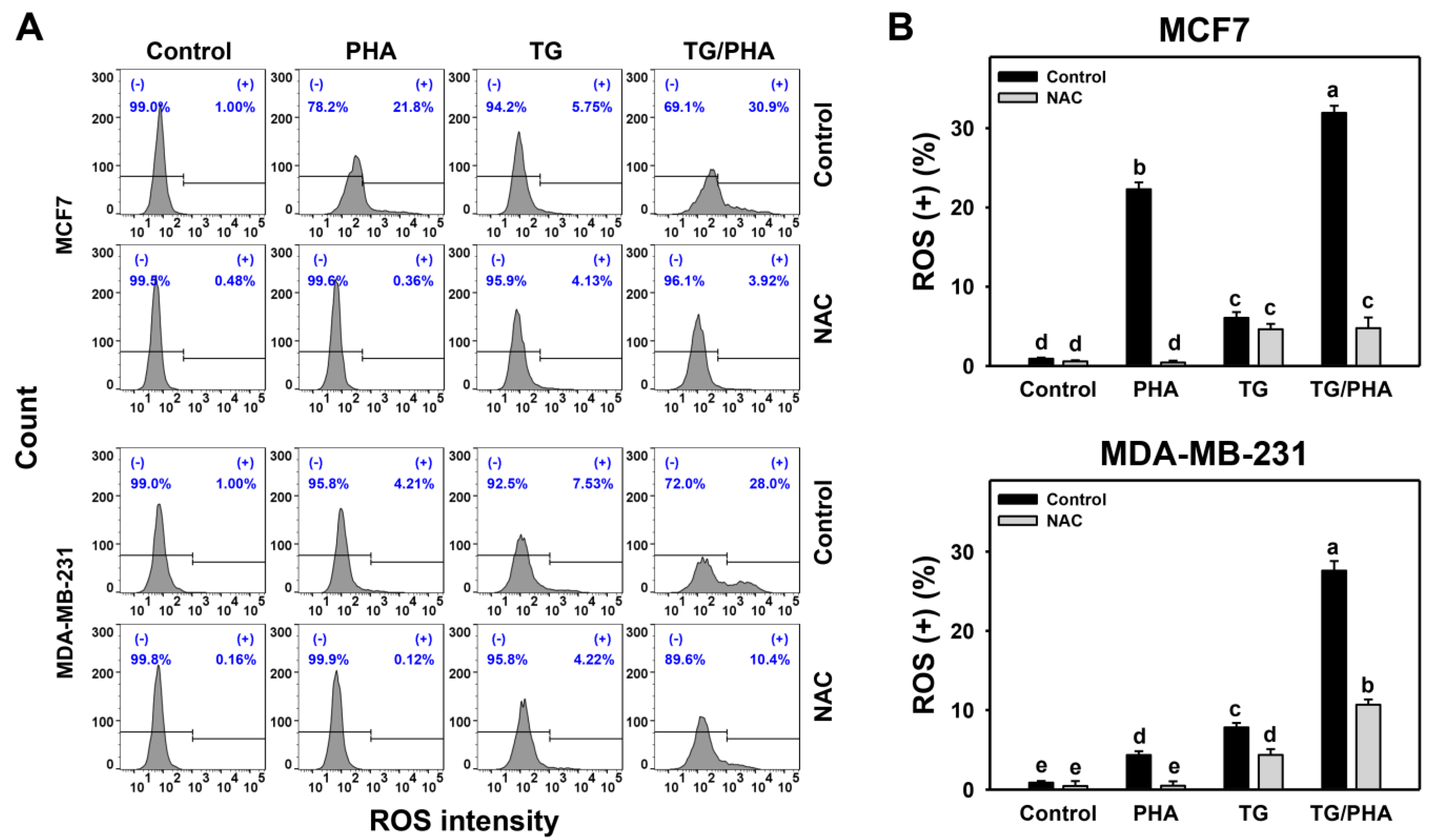 Ijms 24 08853 g004 Ijms 24 08853 g004