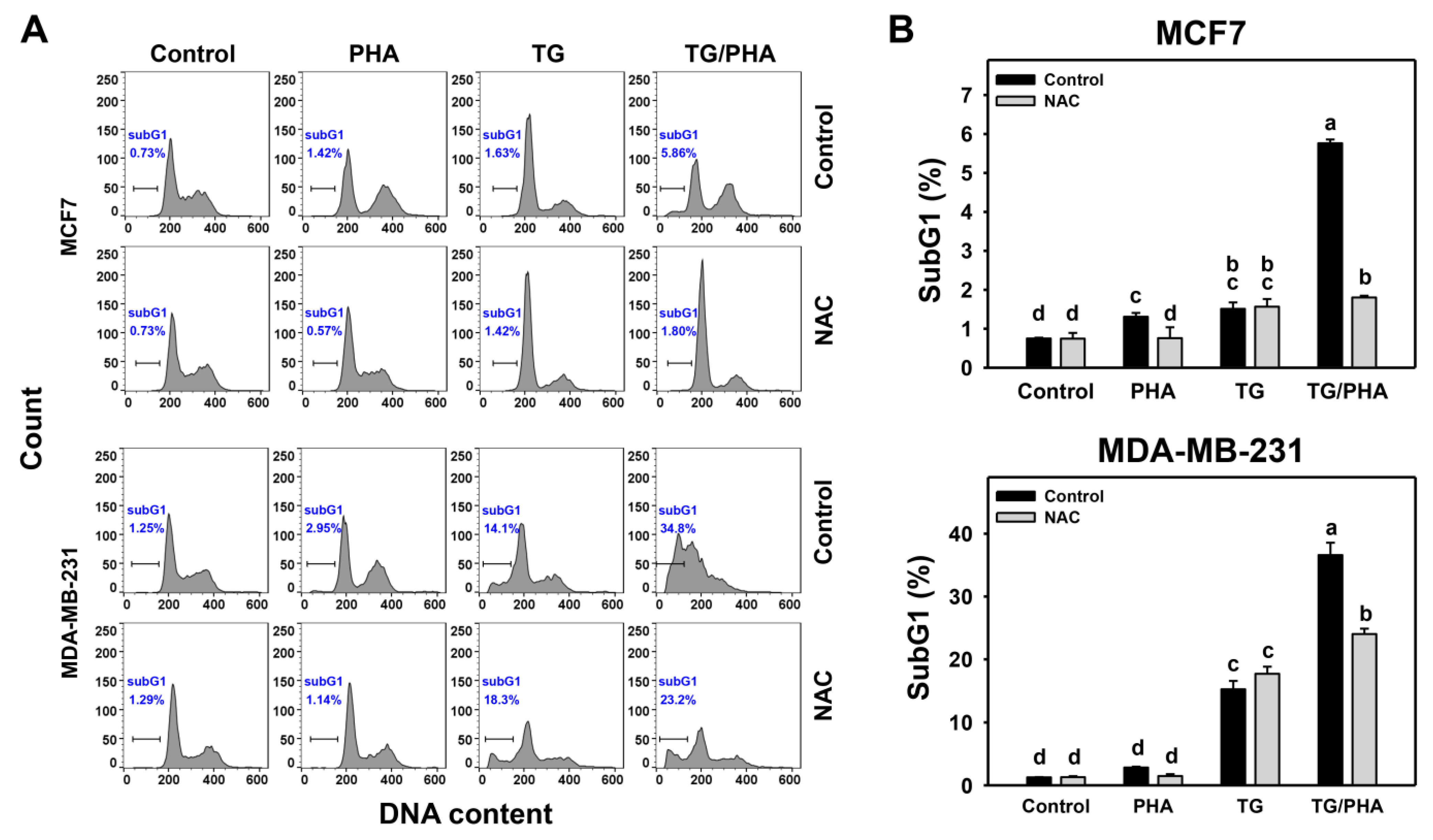 Ijms 24 08853 g006 Ijms 24 08853 g006