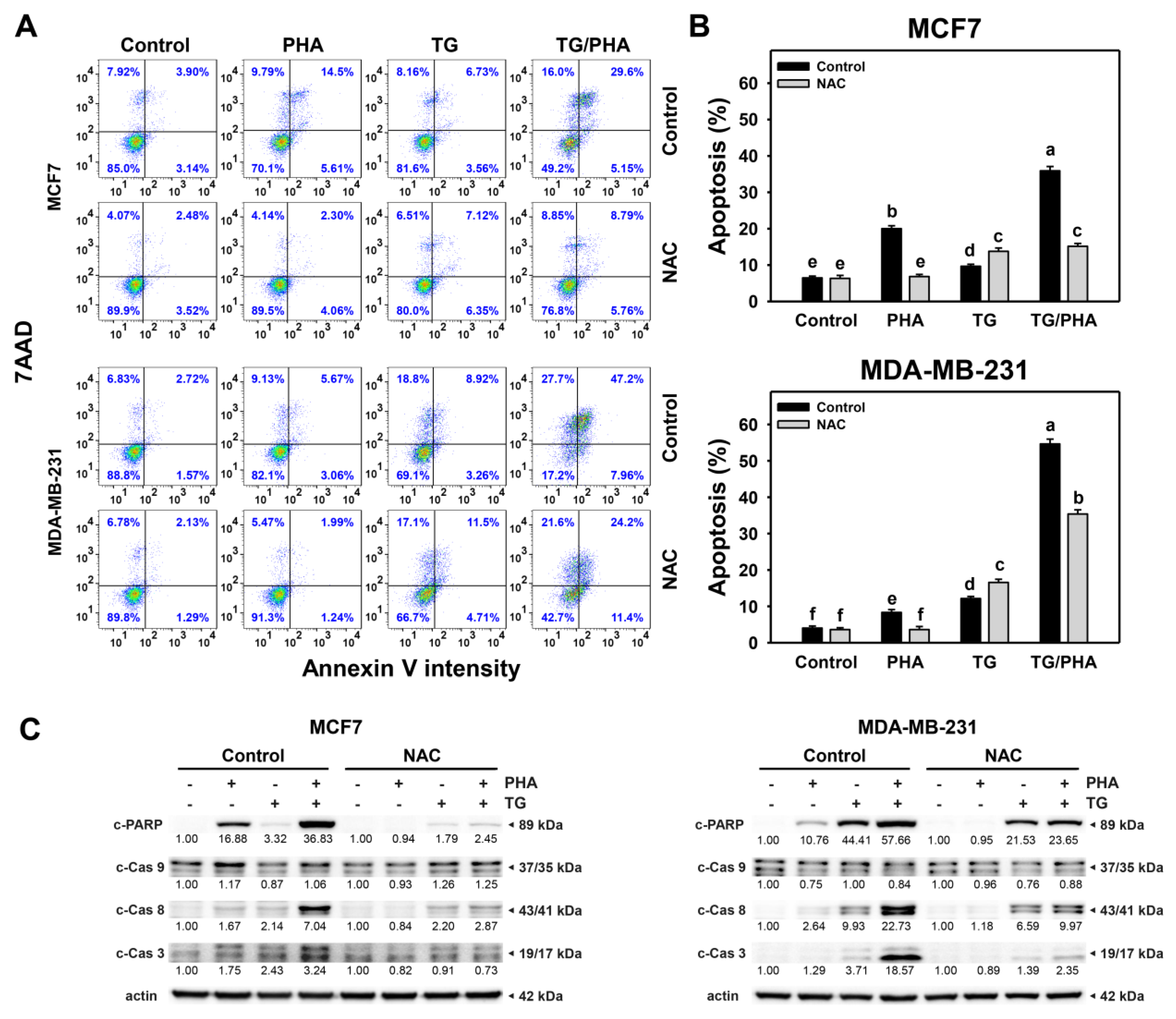 Ijms 24 08853 g007 Ijms 24 08853 g007