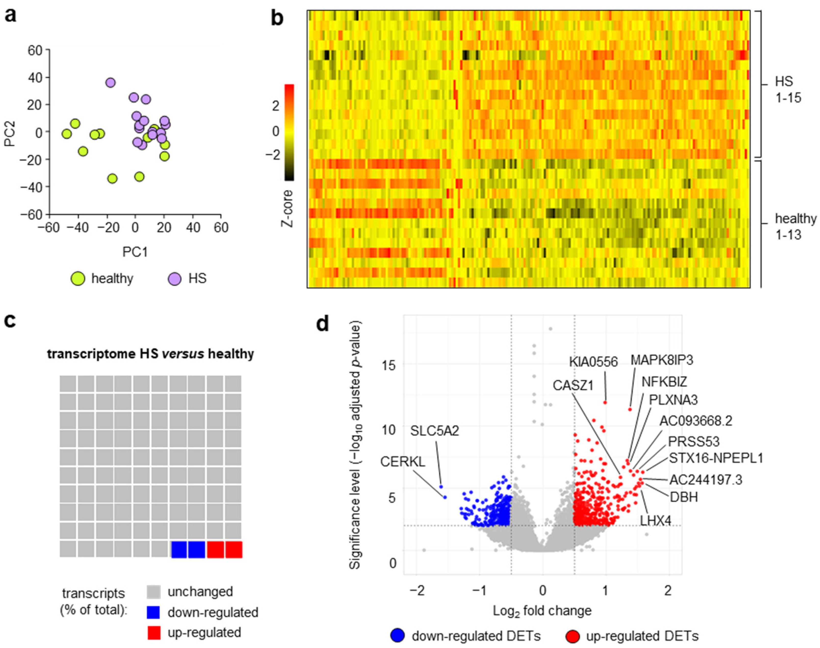 Ijms 24 08854 g001 Ijms 24 08854 g001
